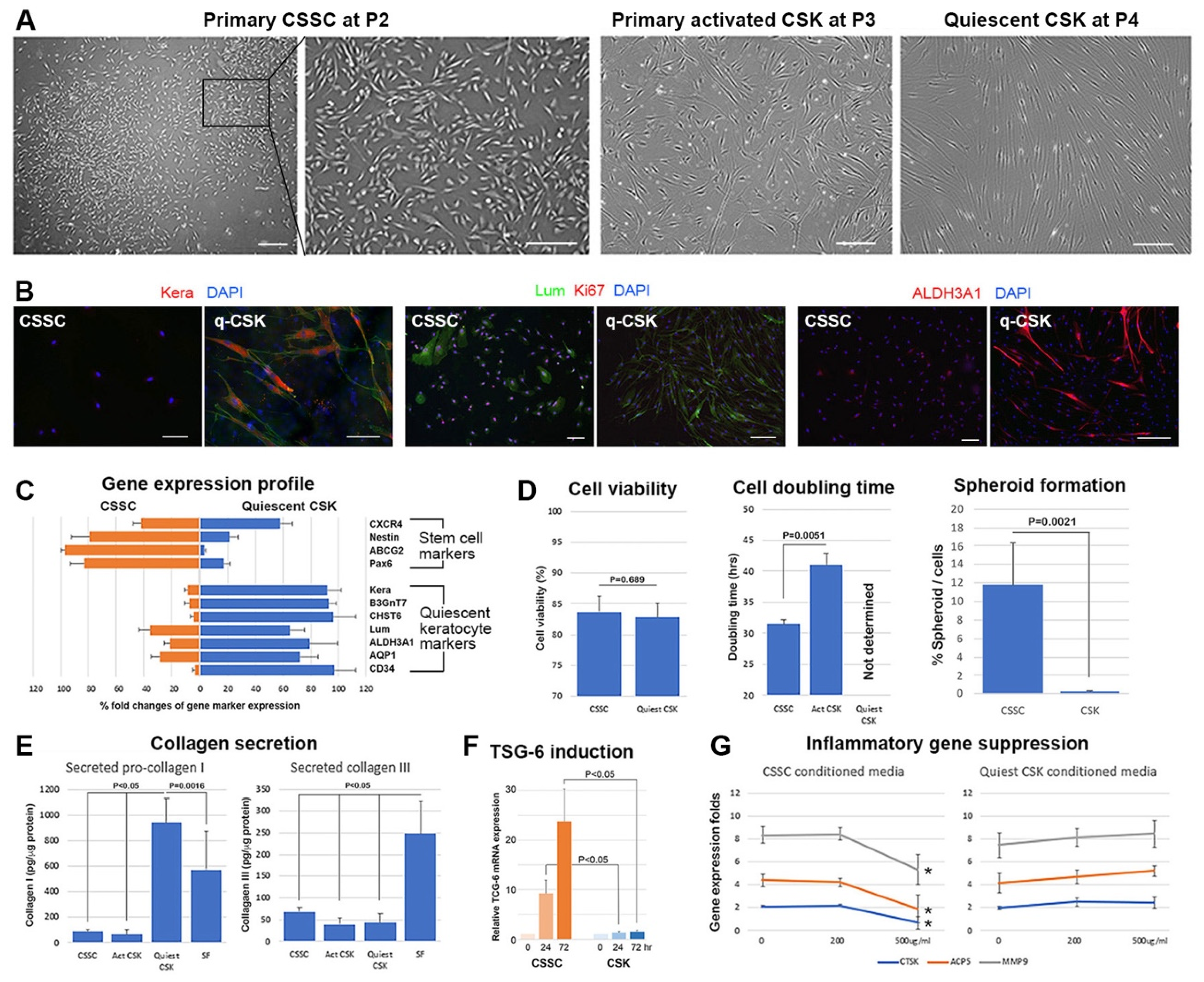 Ijms 23 06980 g002 550