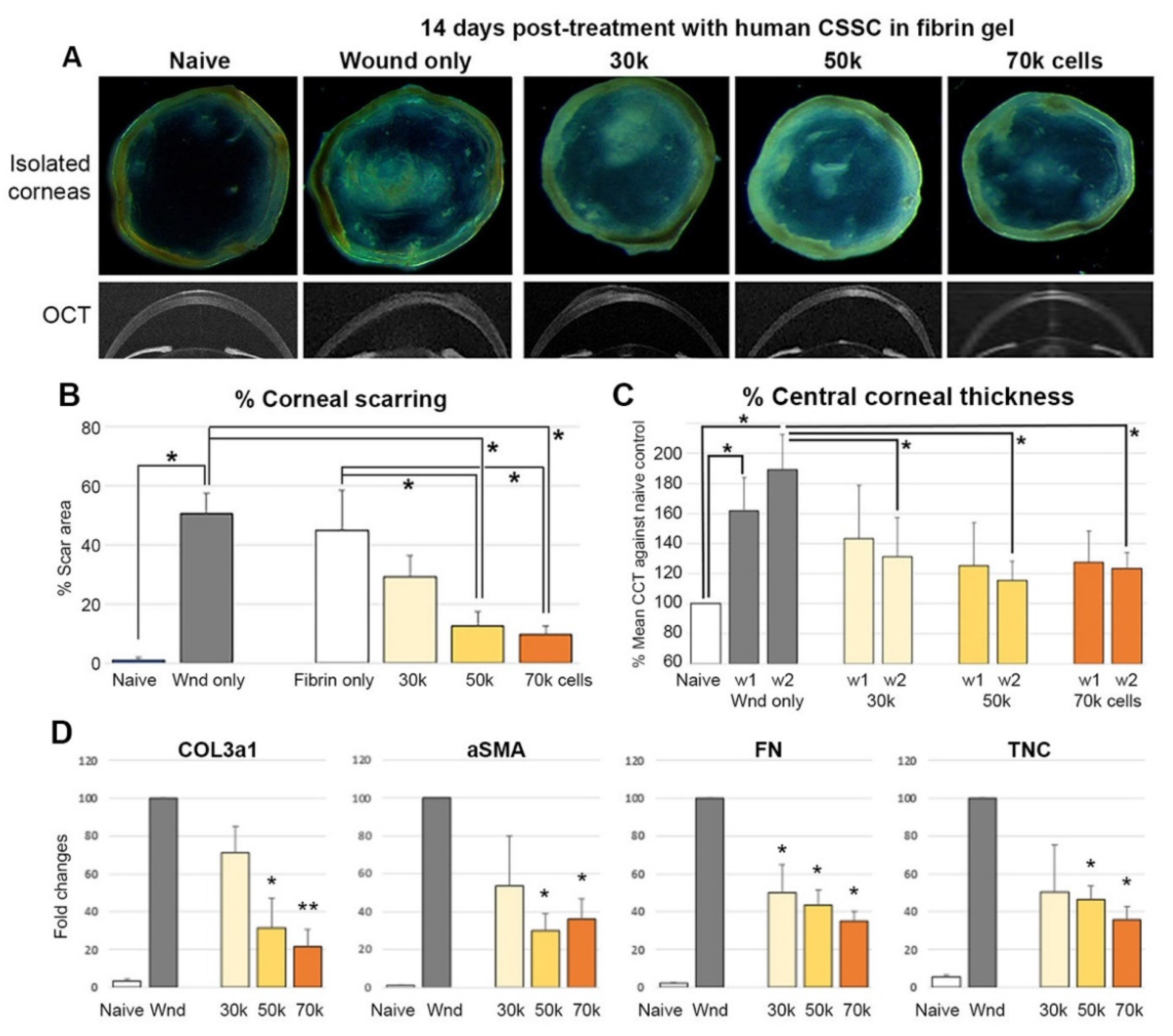 Ijms 23 06980 g004 550