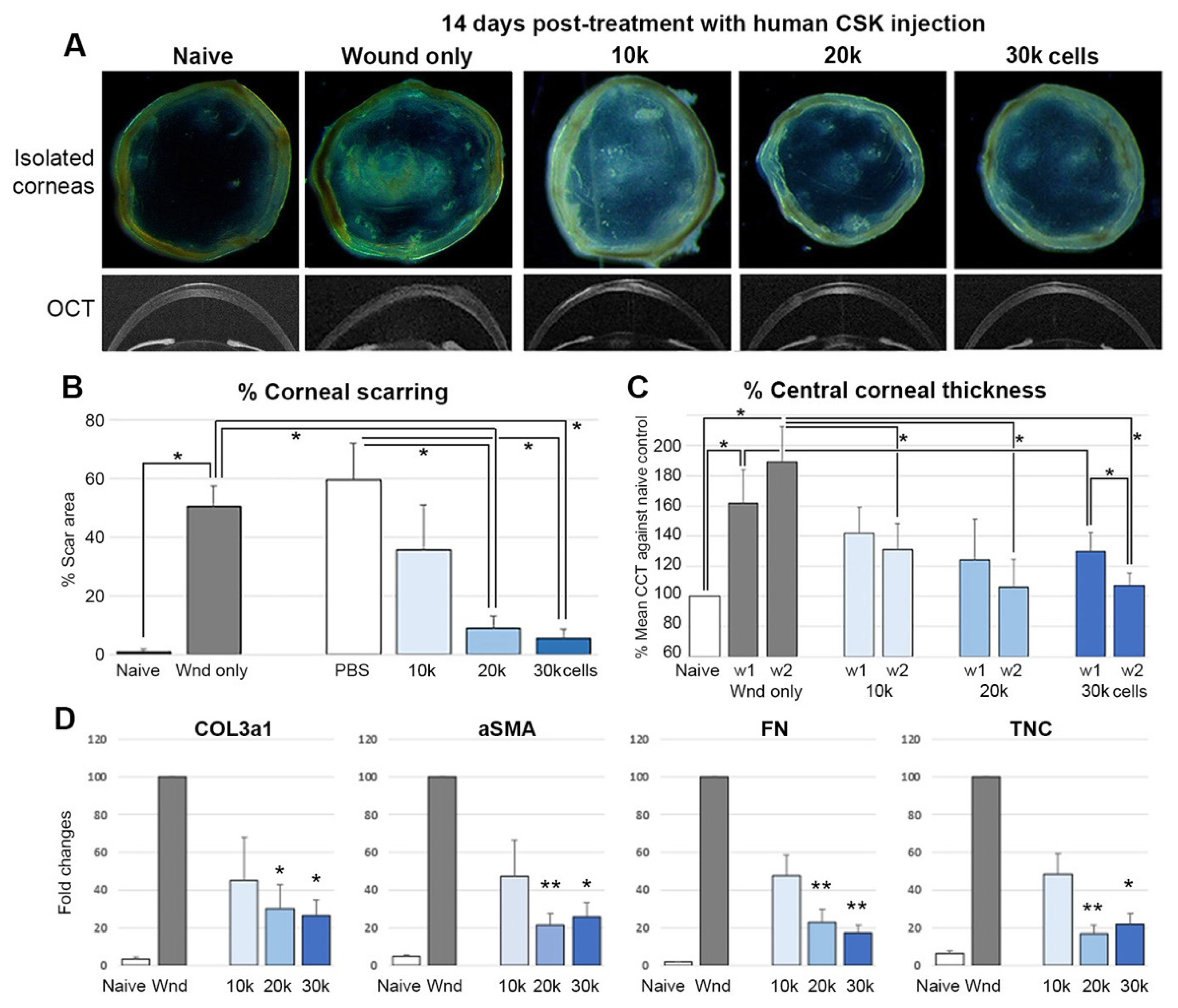 Ijms 23 06980 g005 550