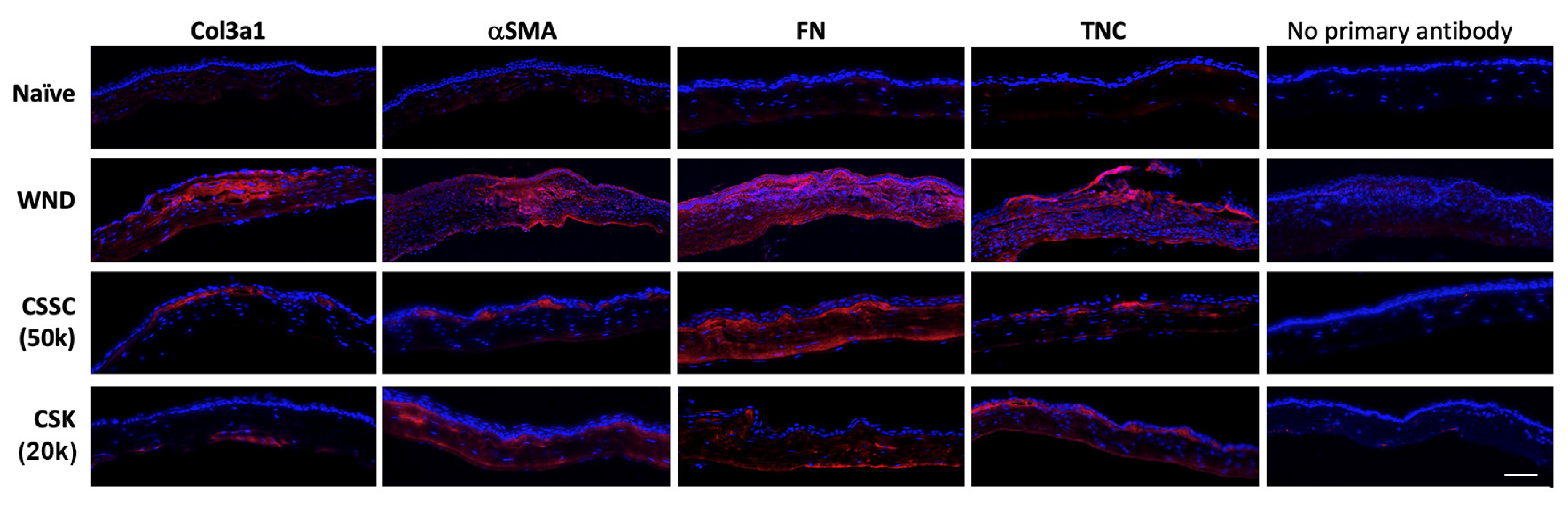 Ijms 23 06980 g006 550