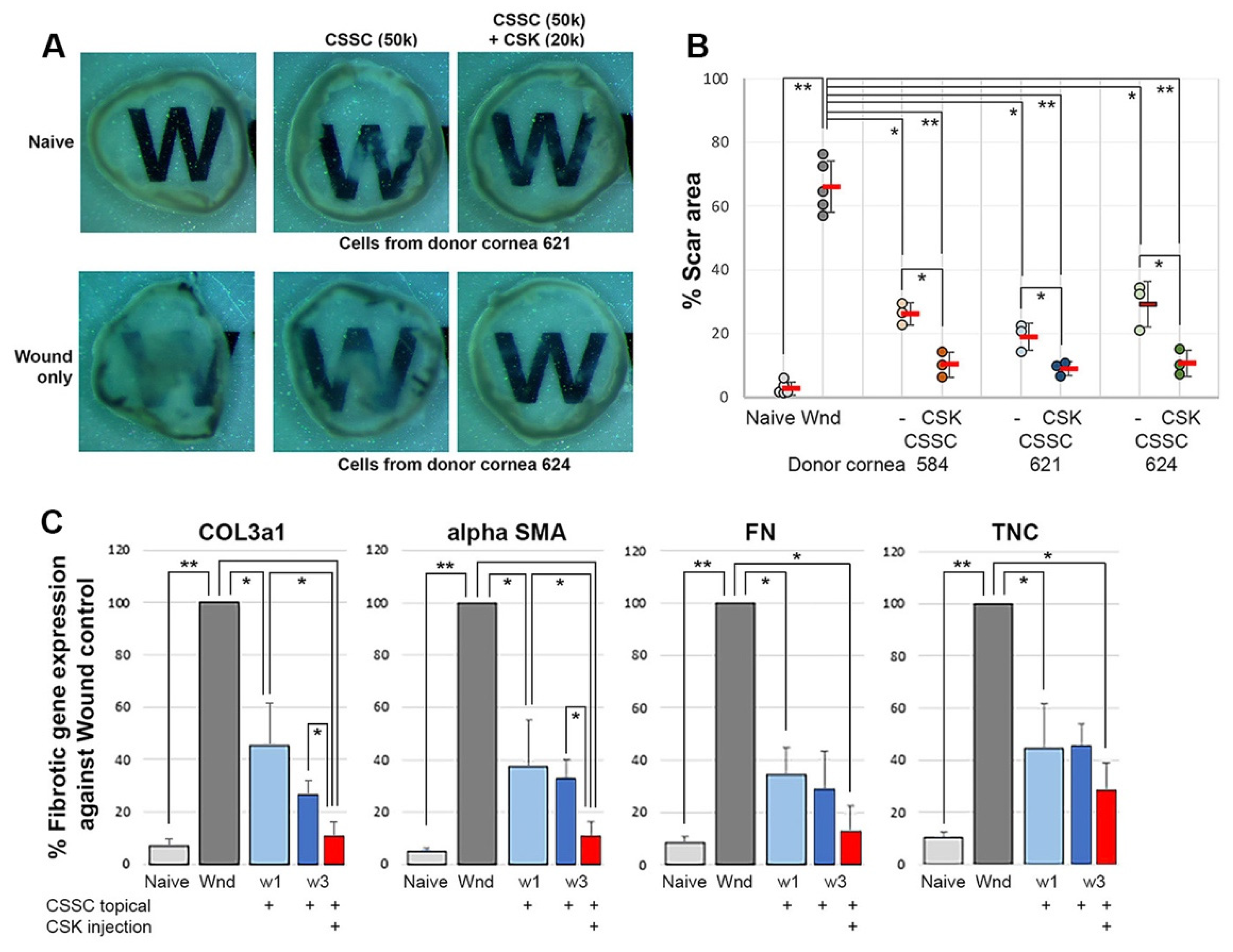 Ijms 23 06980 g007 550