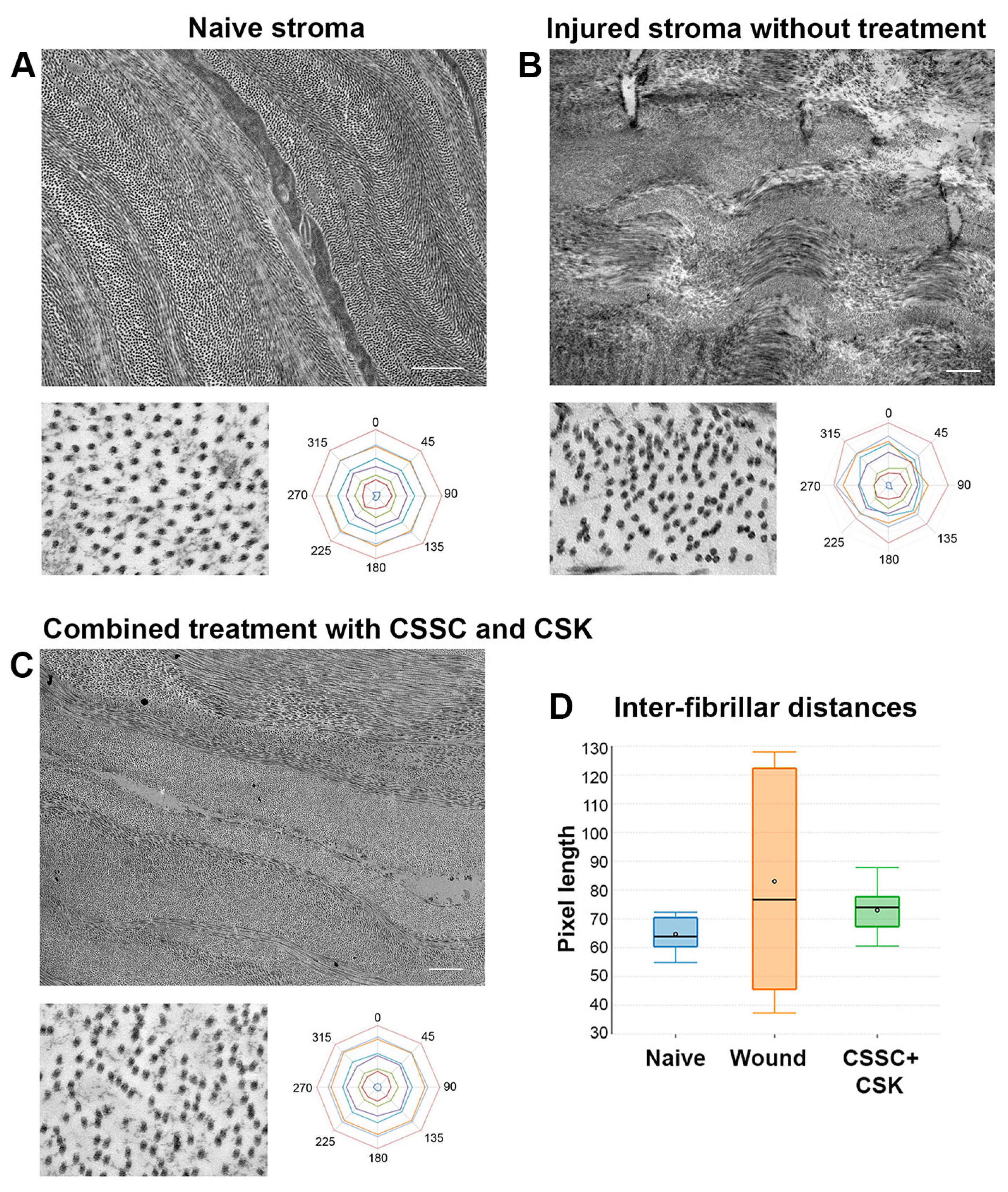 Ijms 23 06980 g008 550