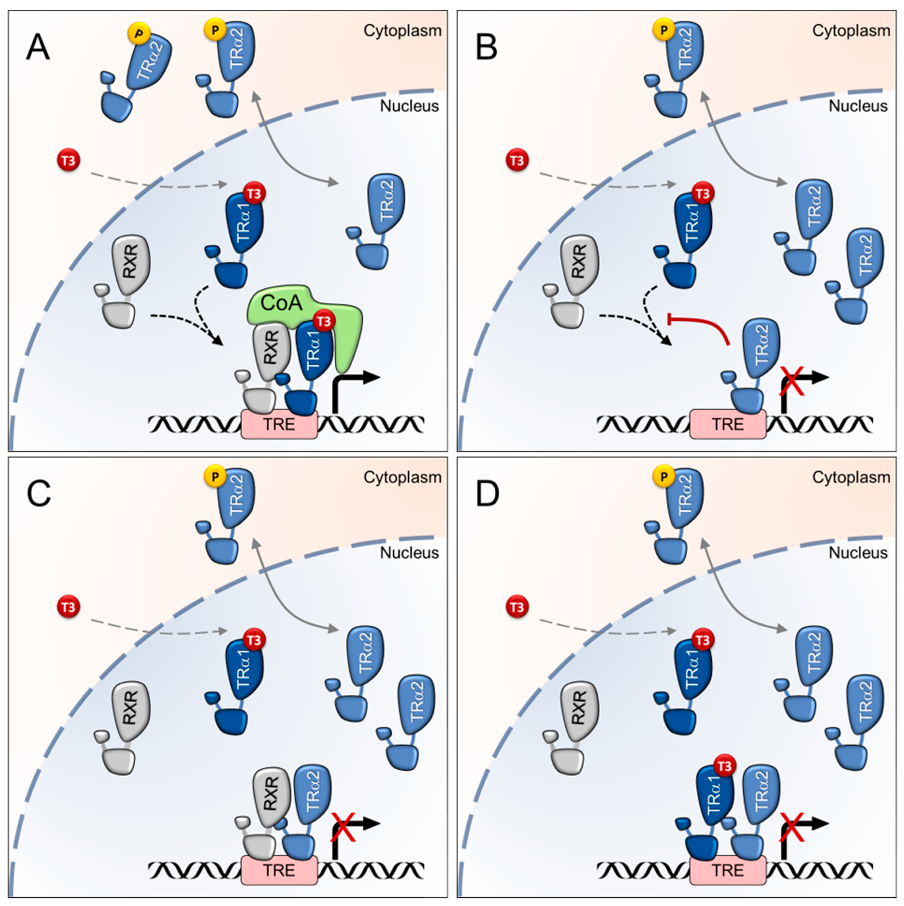 Ijms 23 06998 g002 Ijms 23 06998 g002