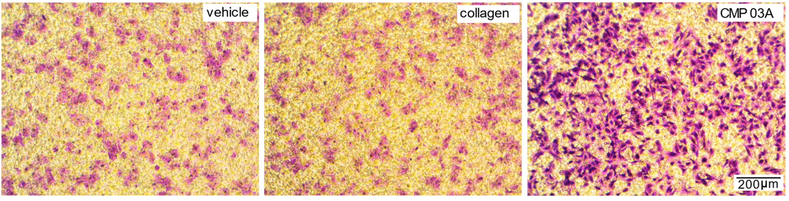 Ijms 23 07004 g003 Ijms 23 07004 g003