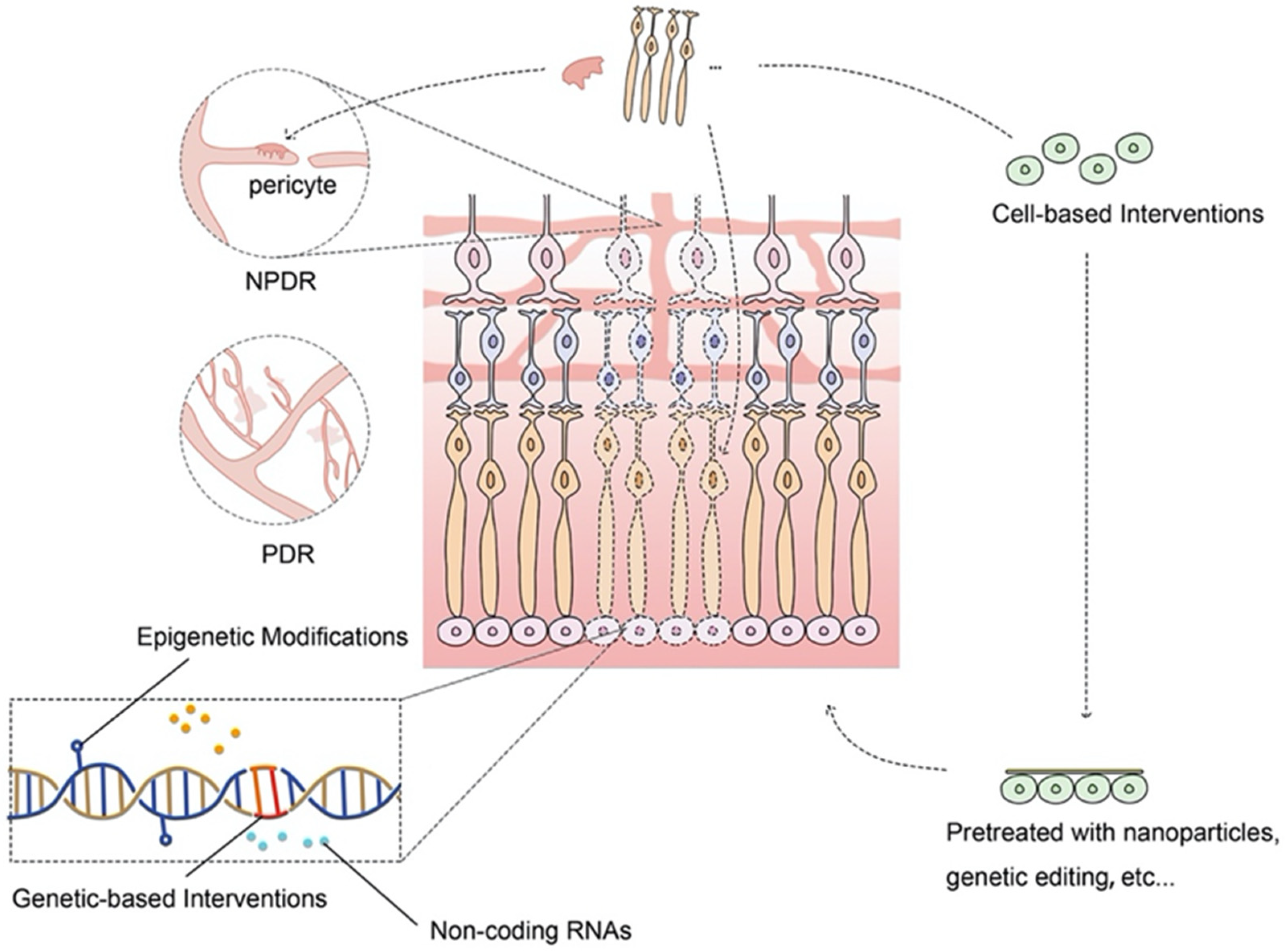 Ijms 23 07005 sch001