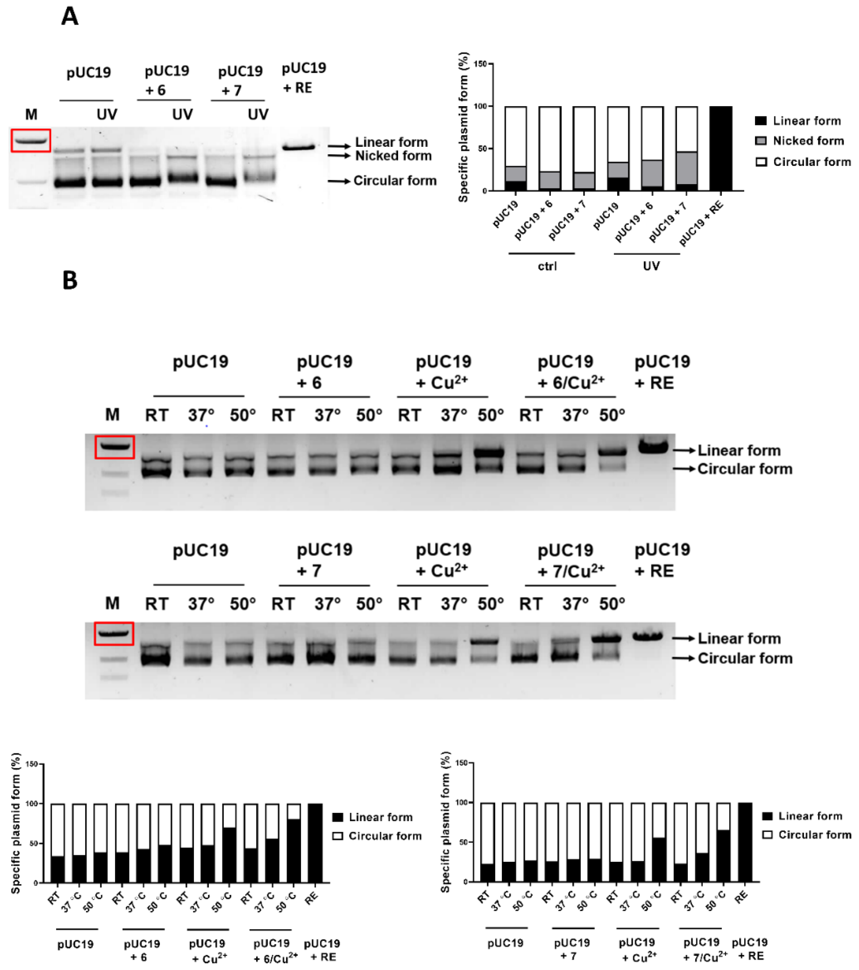 Ijms 23 07006 g006 550