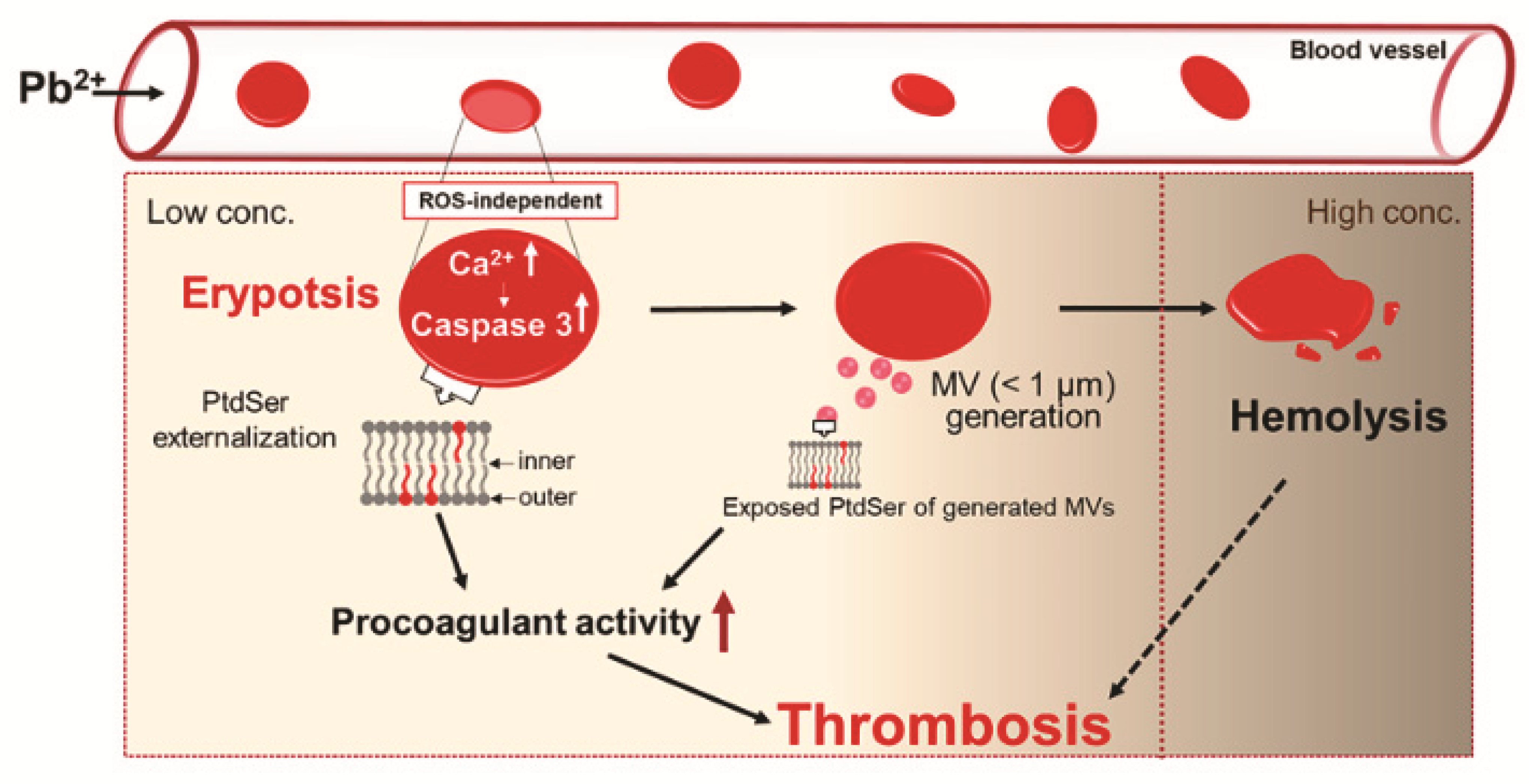 Ijms 23 07008 sch001