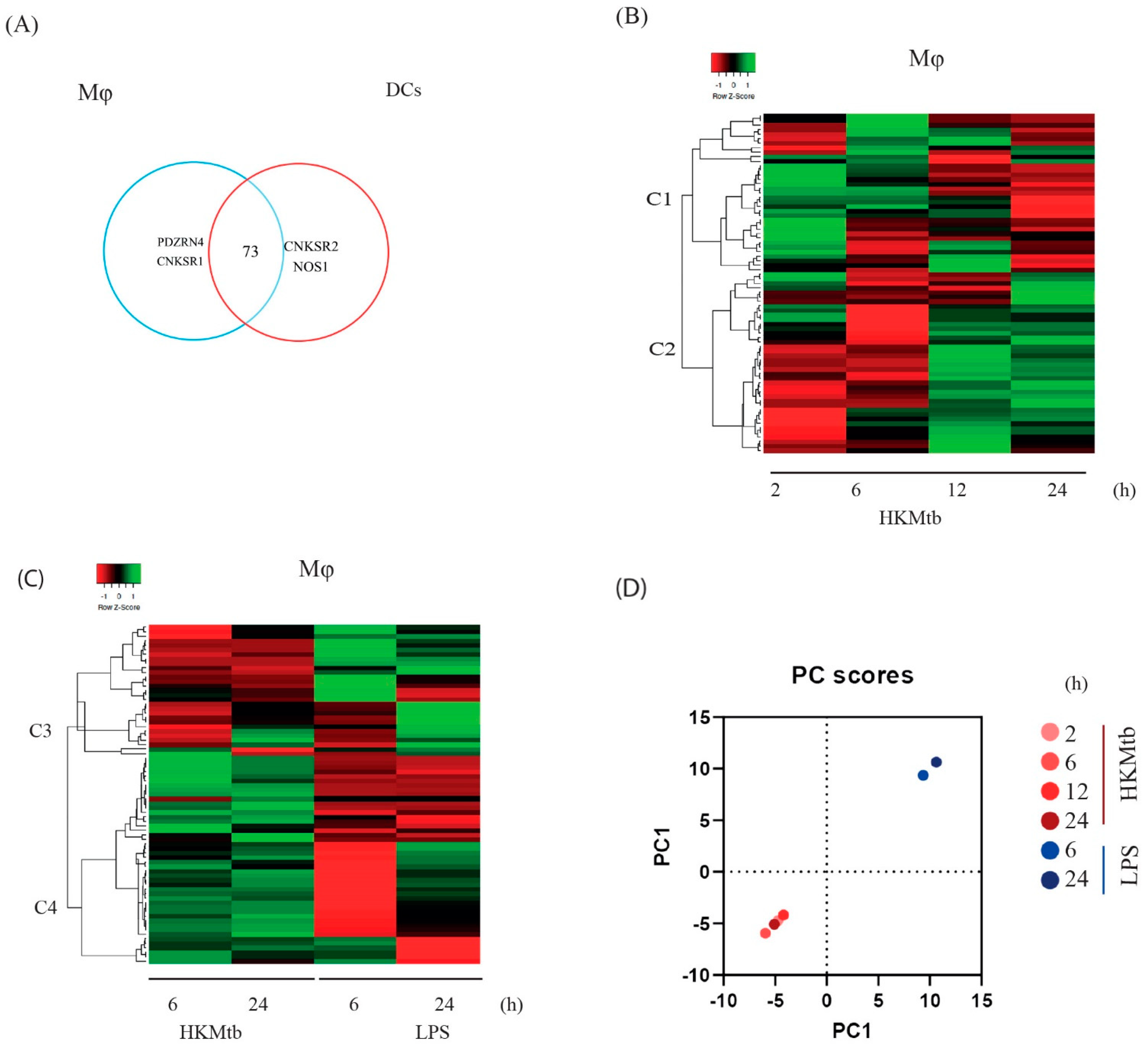 Ijms 23 07010 g001 550