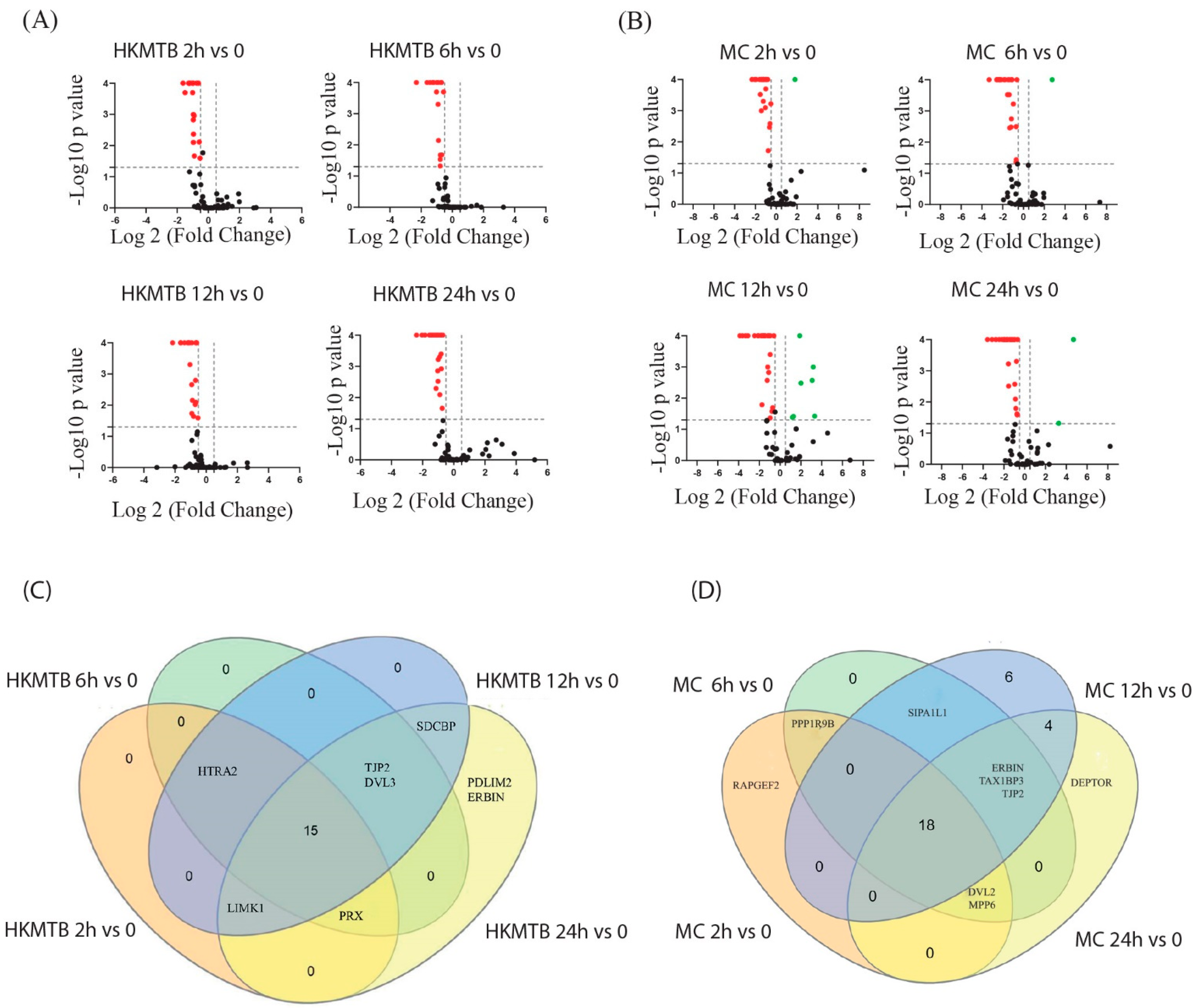 Ijms 23 07010 g005 550
