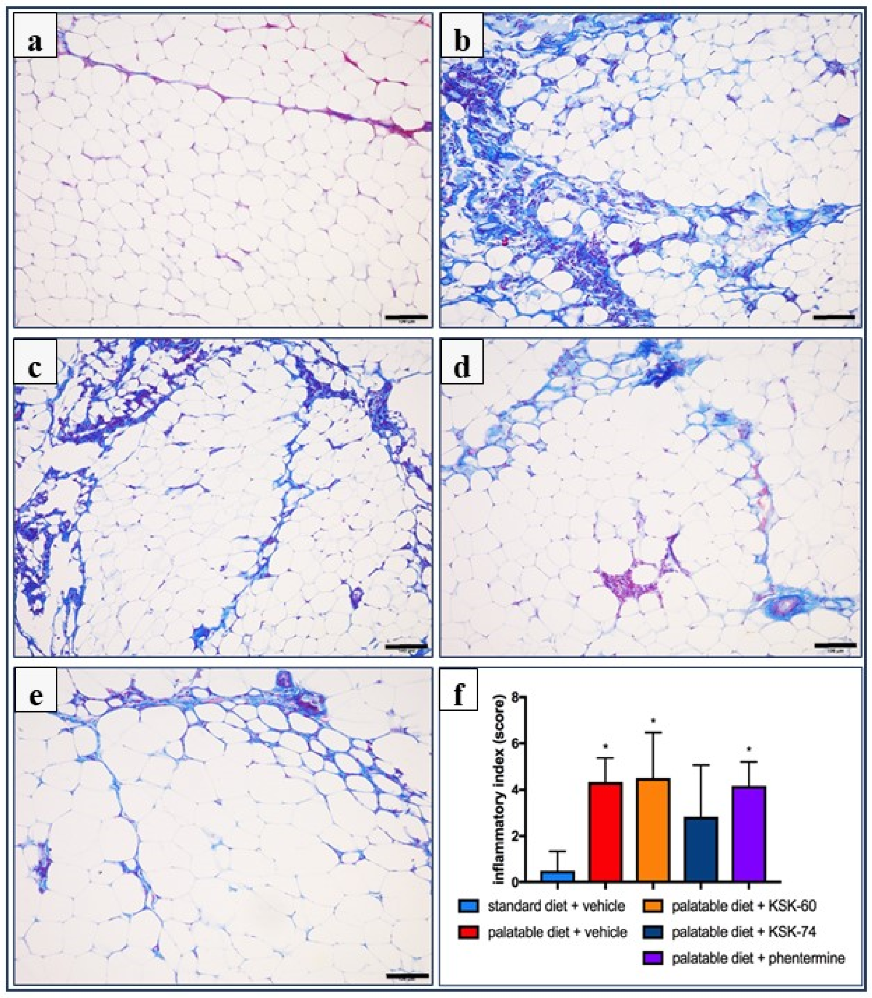 Ijms 23 07011 g008 550