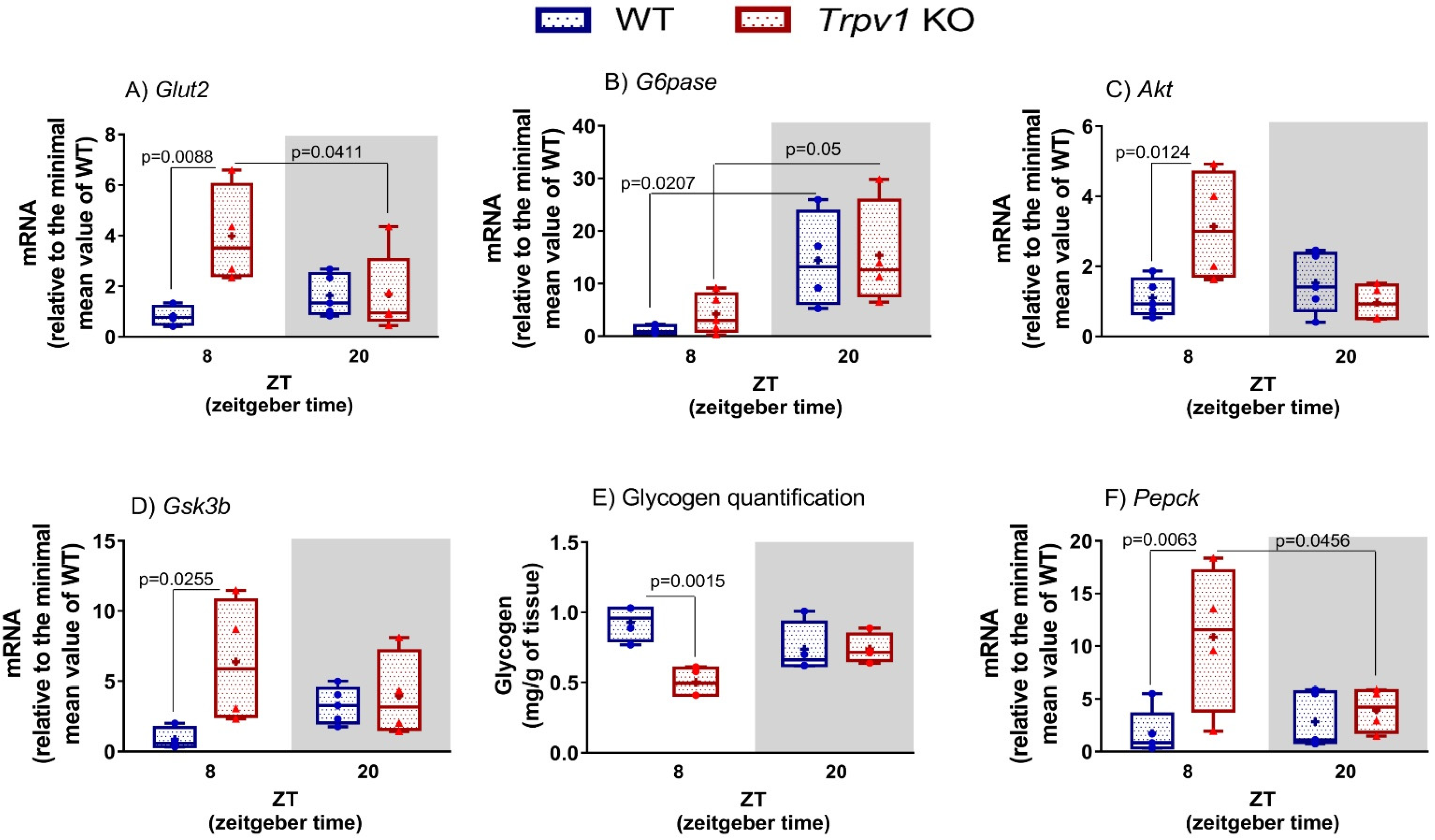 Ijms 23 07014 g002 550