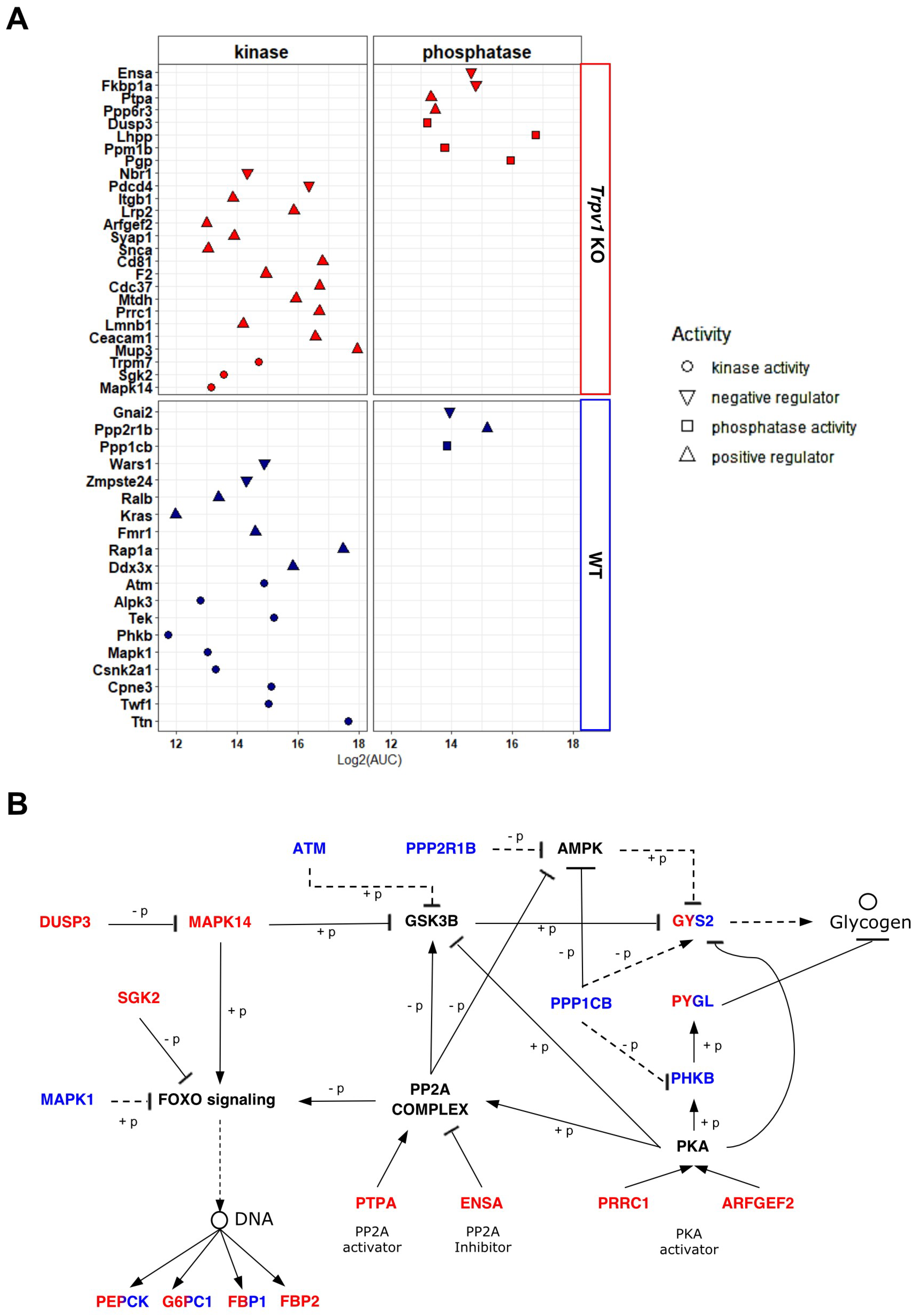 Ijms 23 07014 g005 550