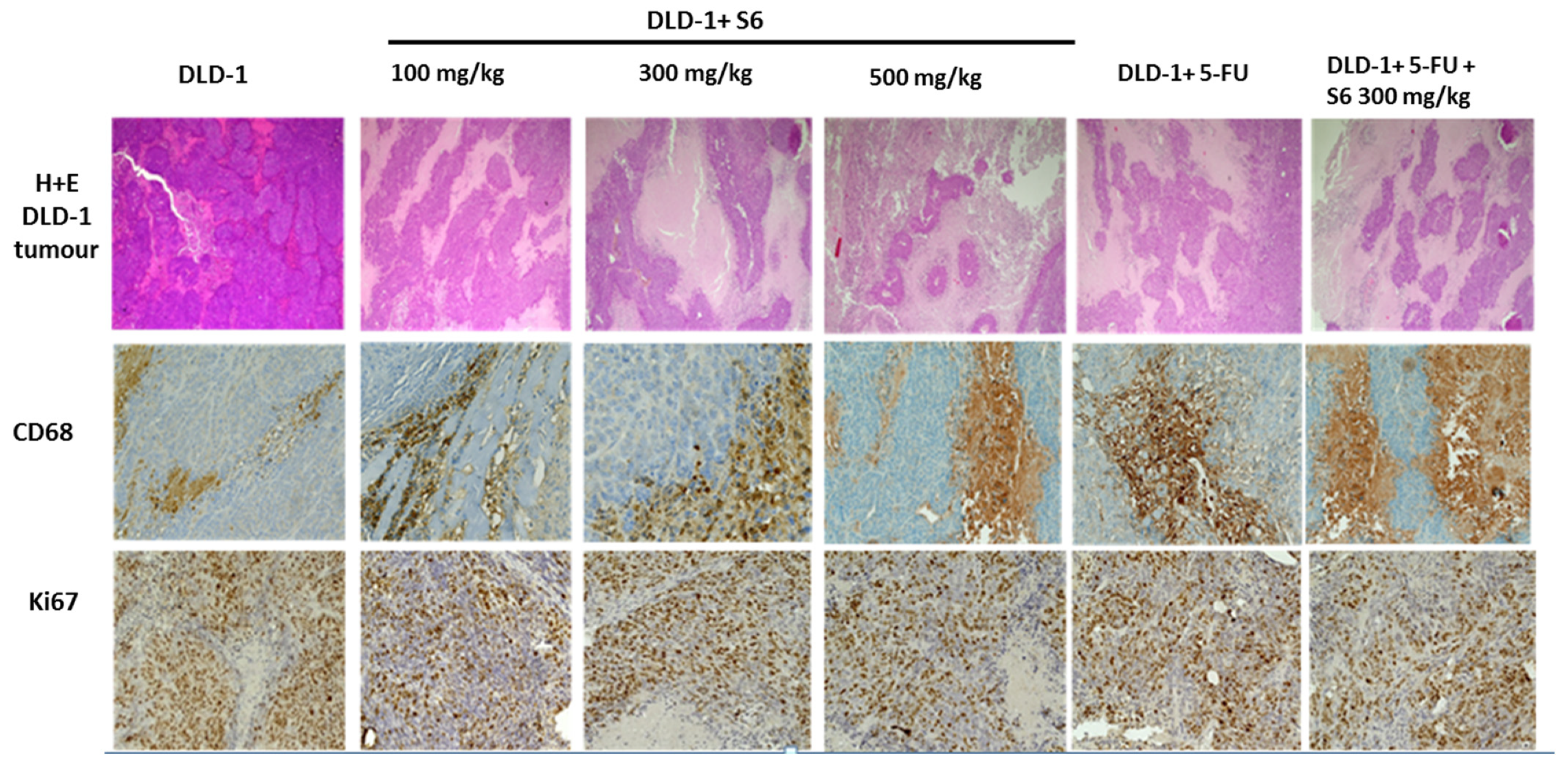 Ijms 23 07019 g006 550