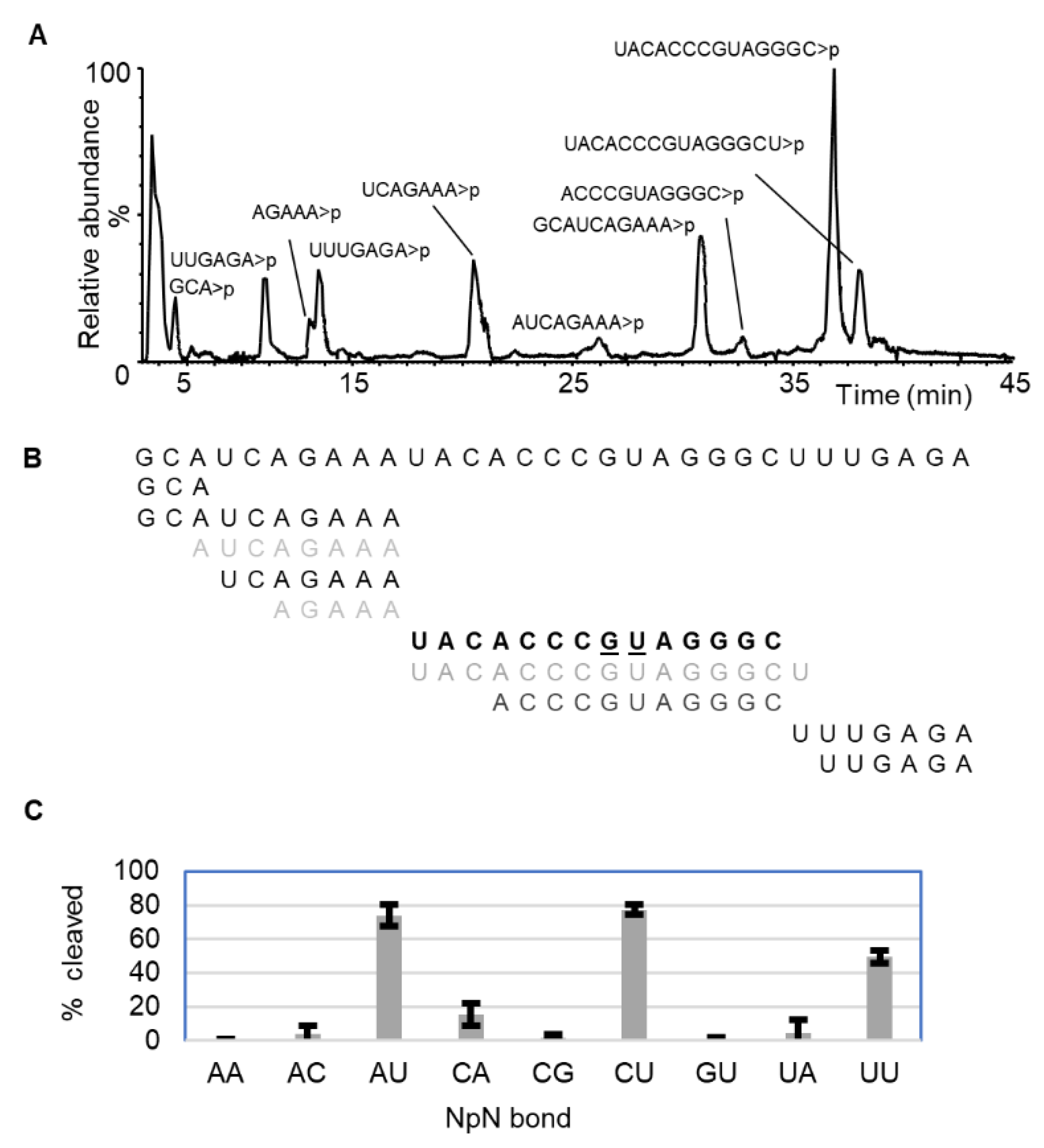 Ijms 23 07021 g001 550