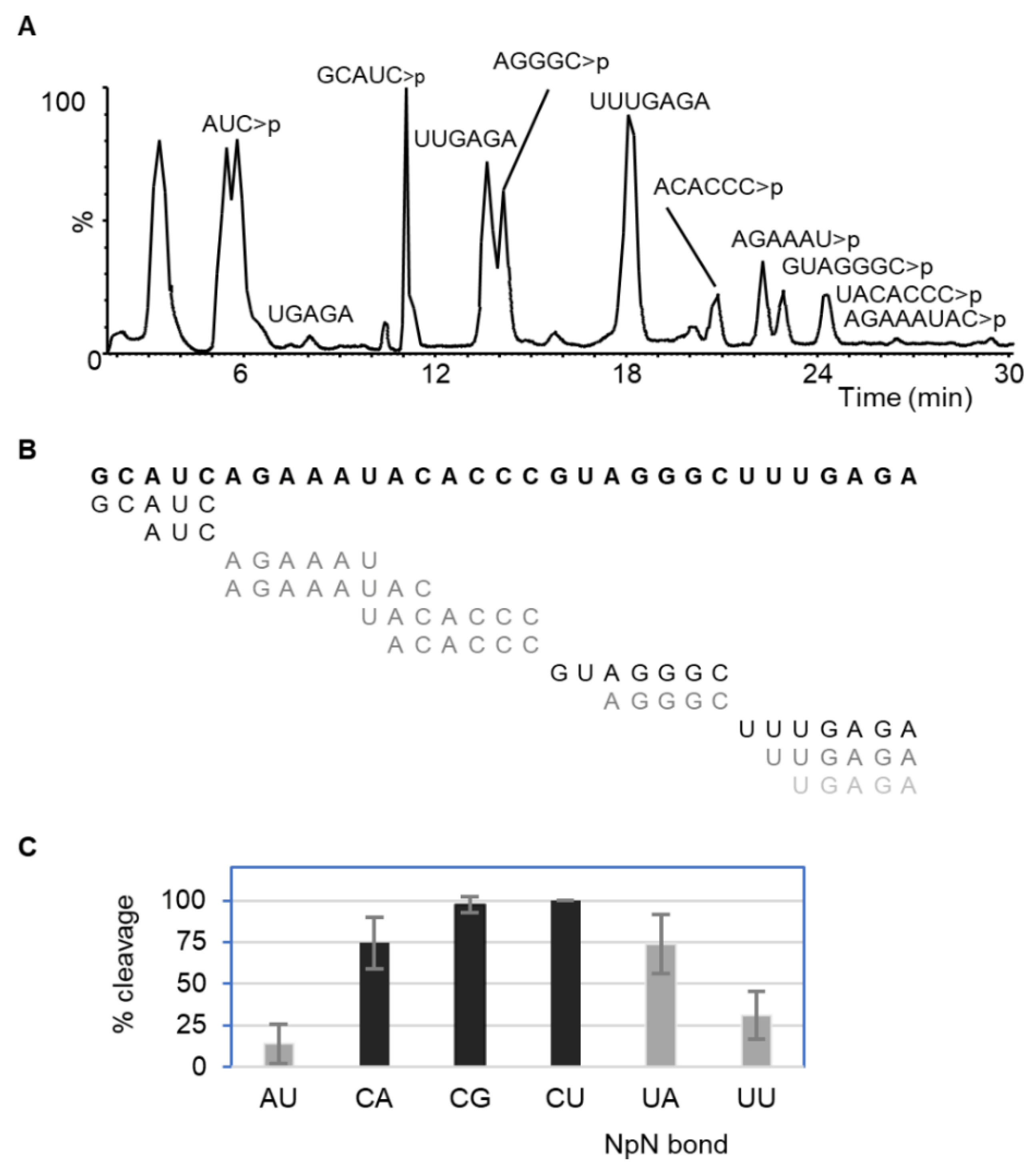 Ijms 23 07021 g002 550