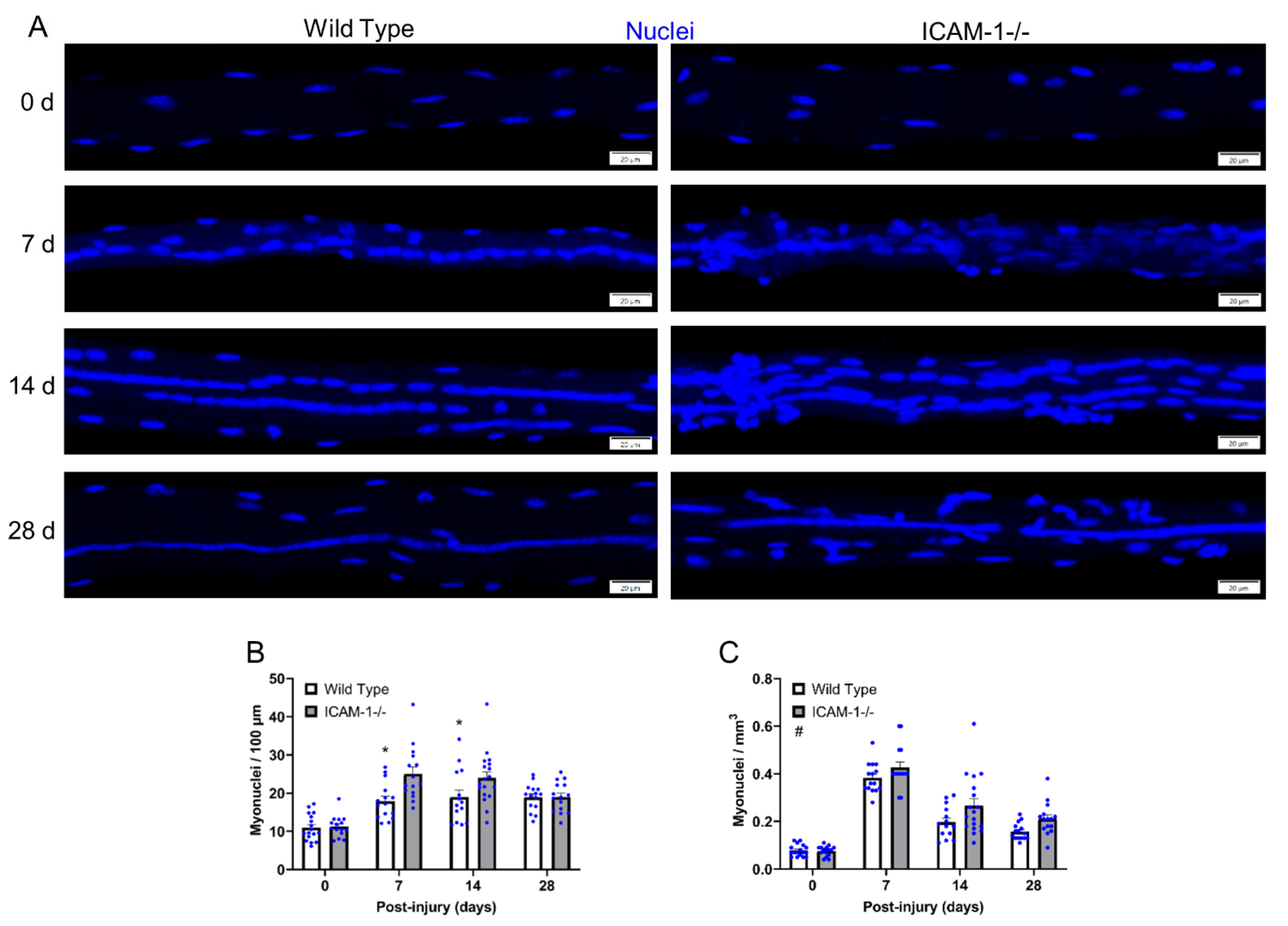 Ijms 23 07028 g001 550