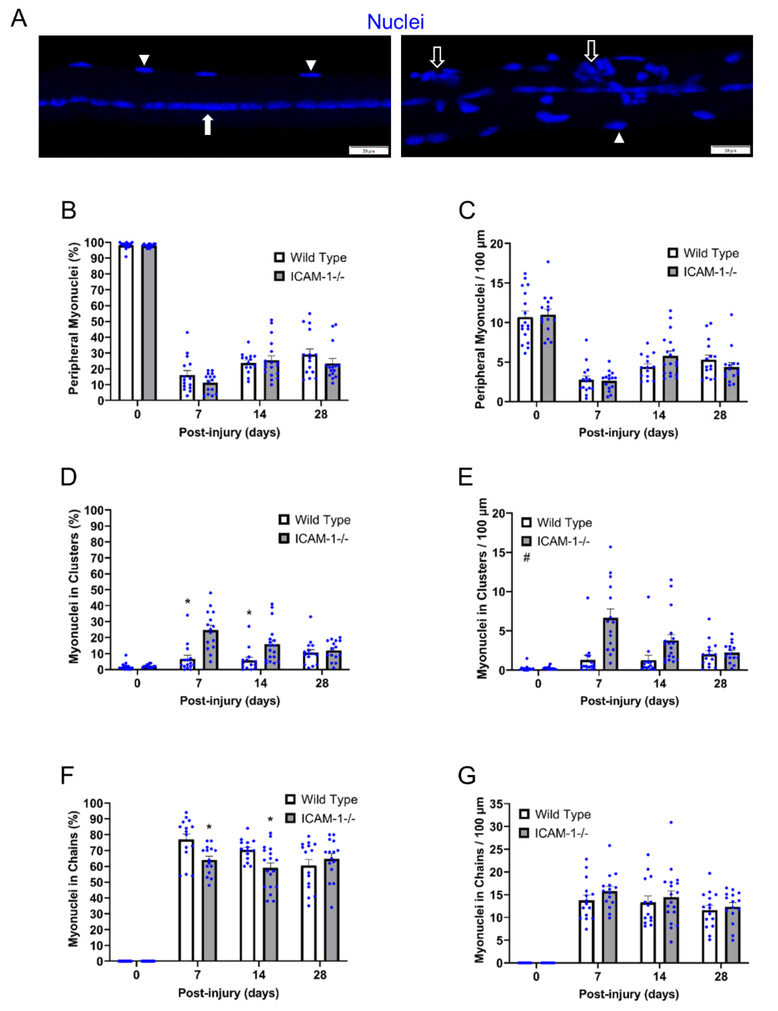 Ijms 23 07028 g002 550