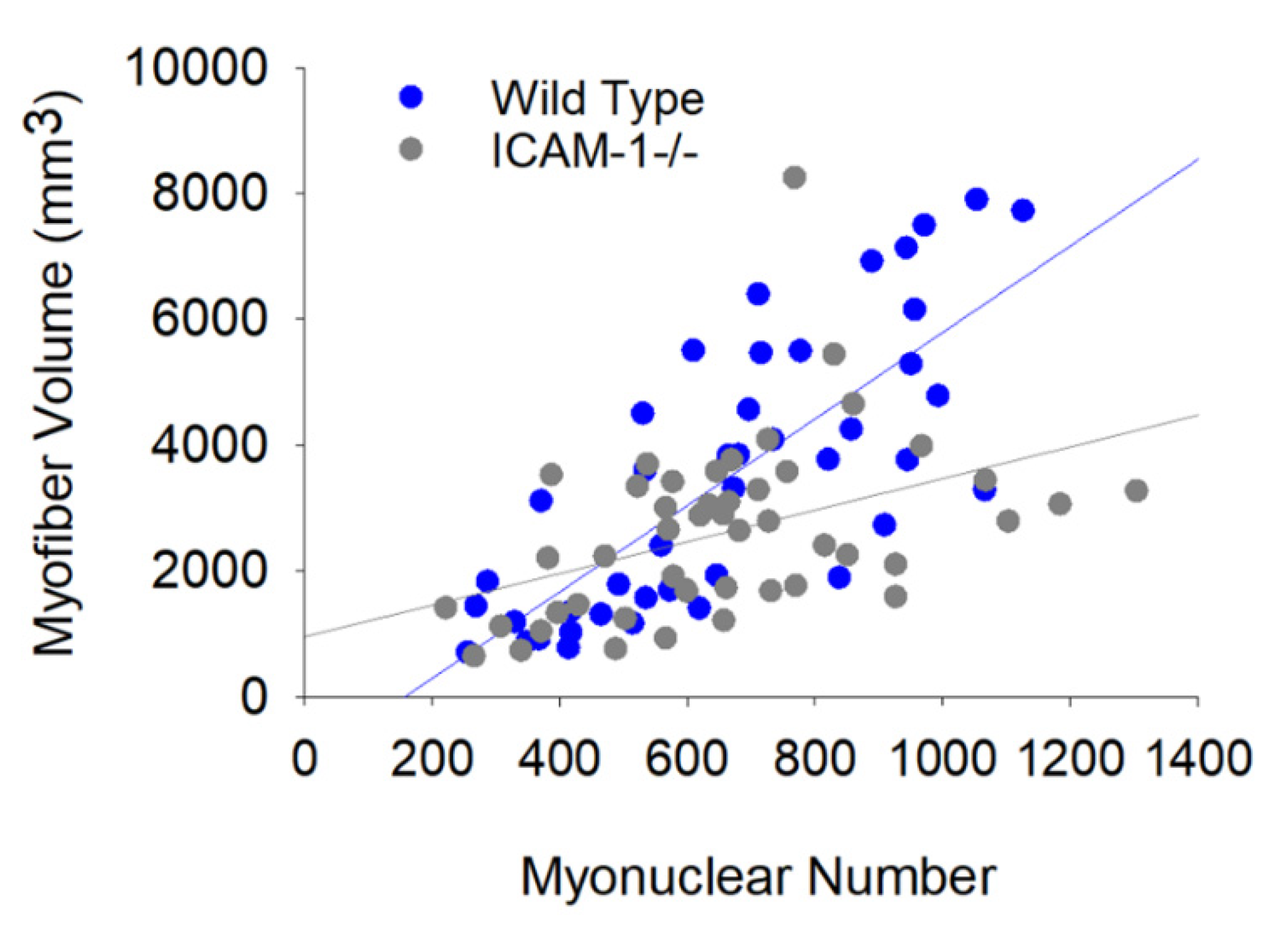 Ijms 23 07028 g003 550