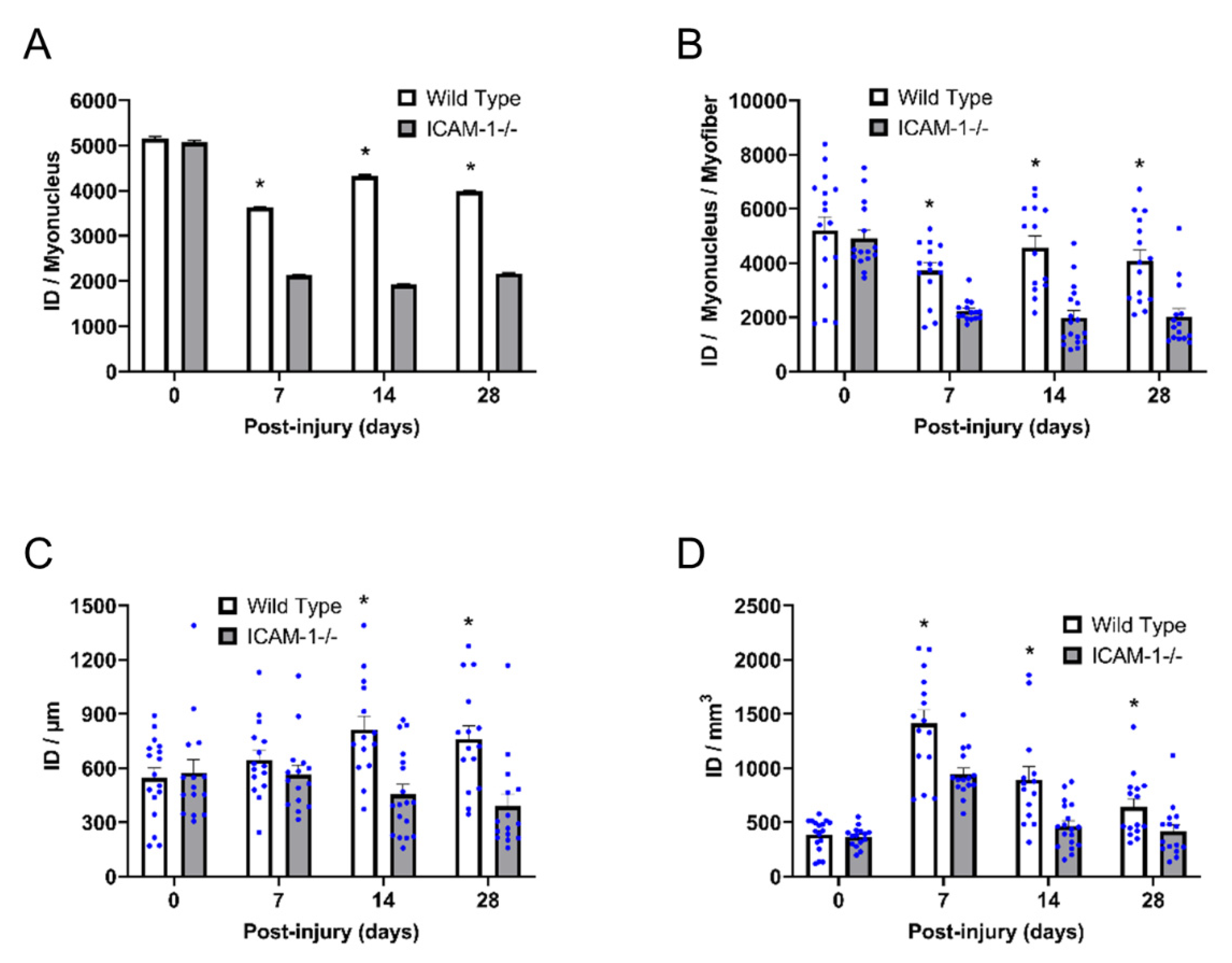 Ijms 23 07028 g005 550