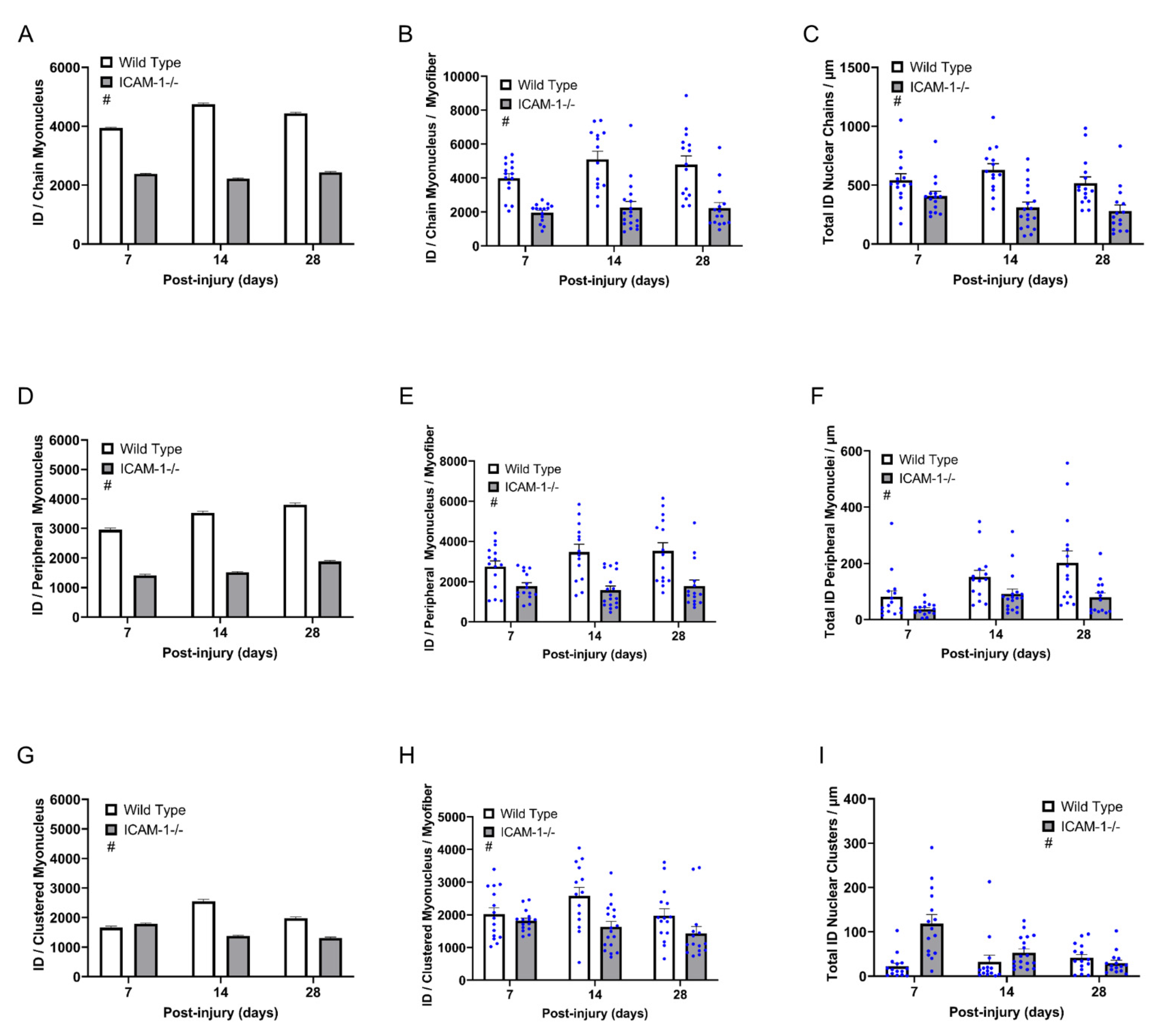 Ijms 23 07028 g006 550