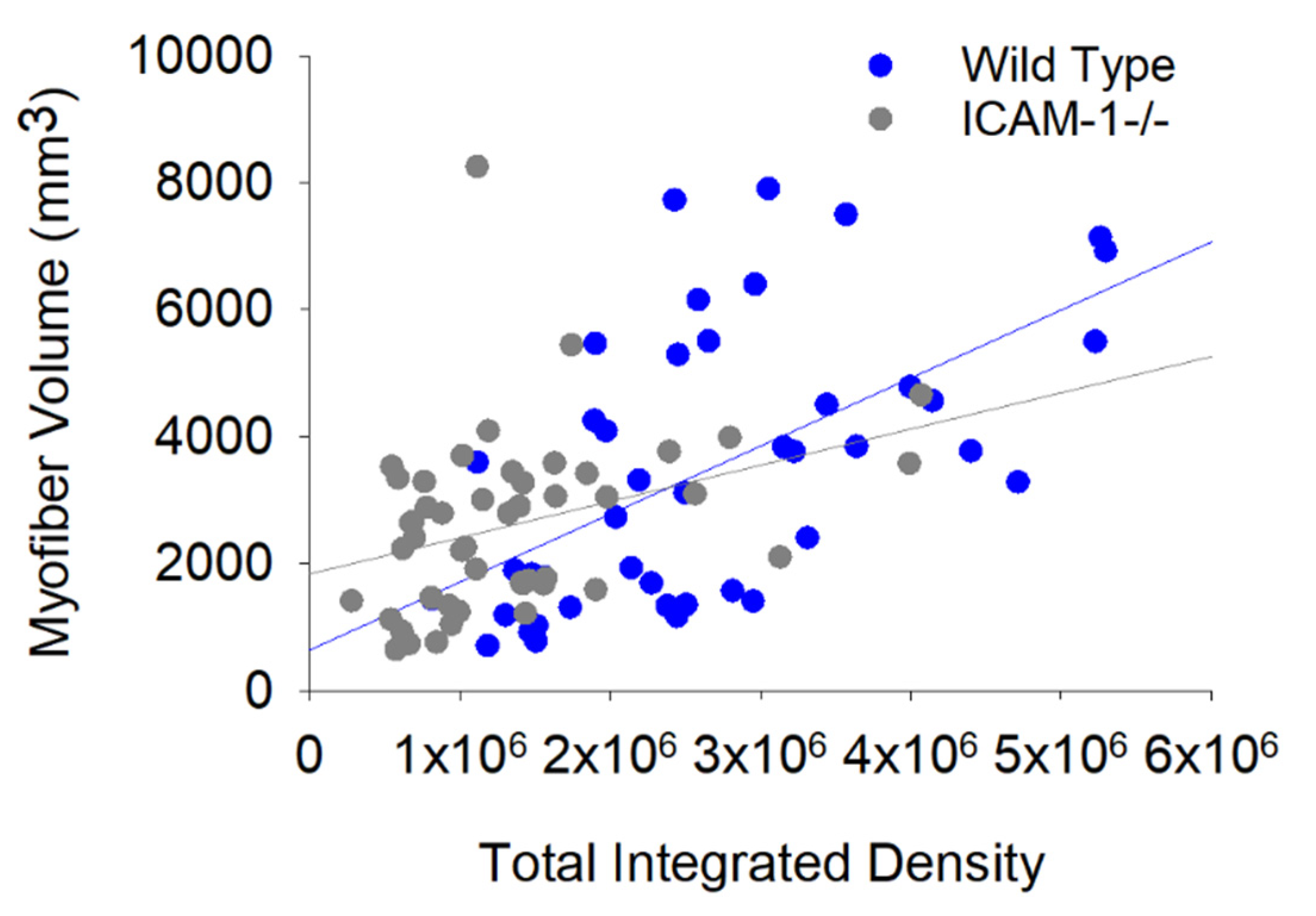 Ijms 23 07028 g007 550