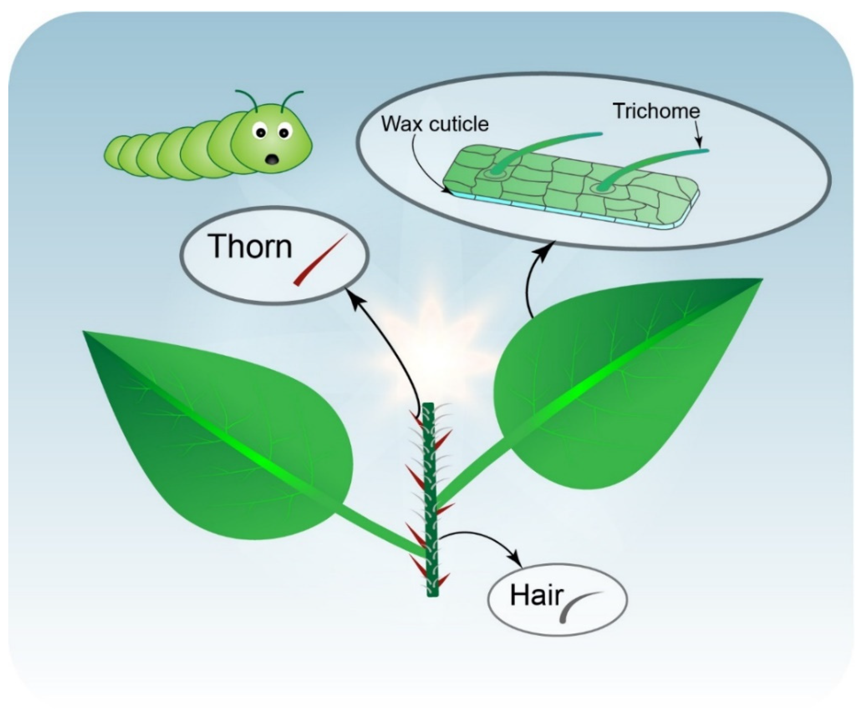 Ijms 23 07031 g001 550