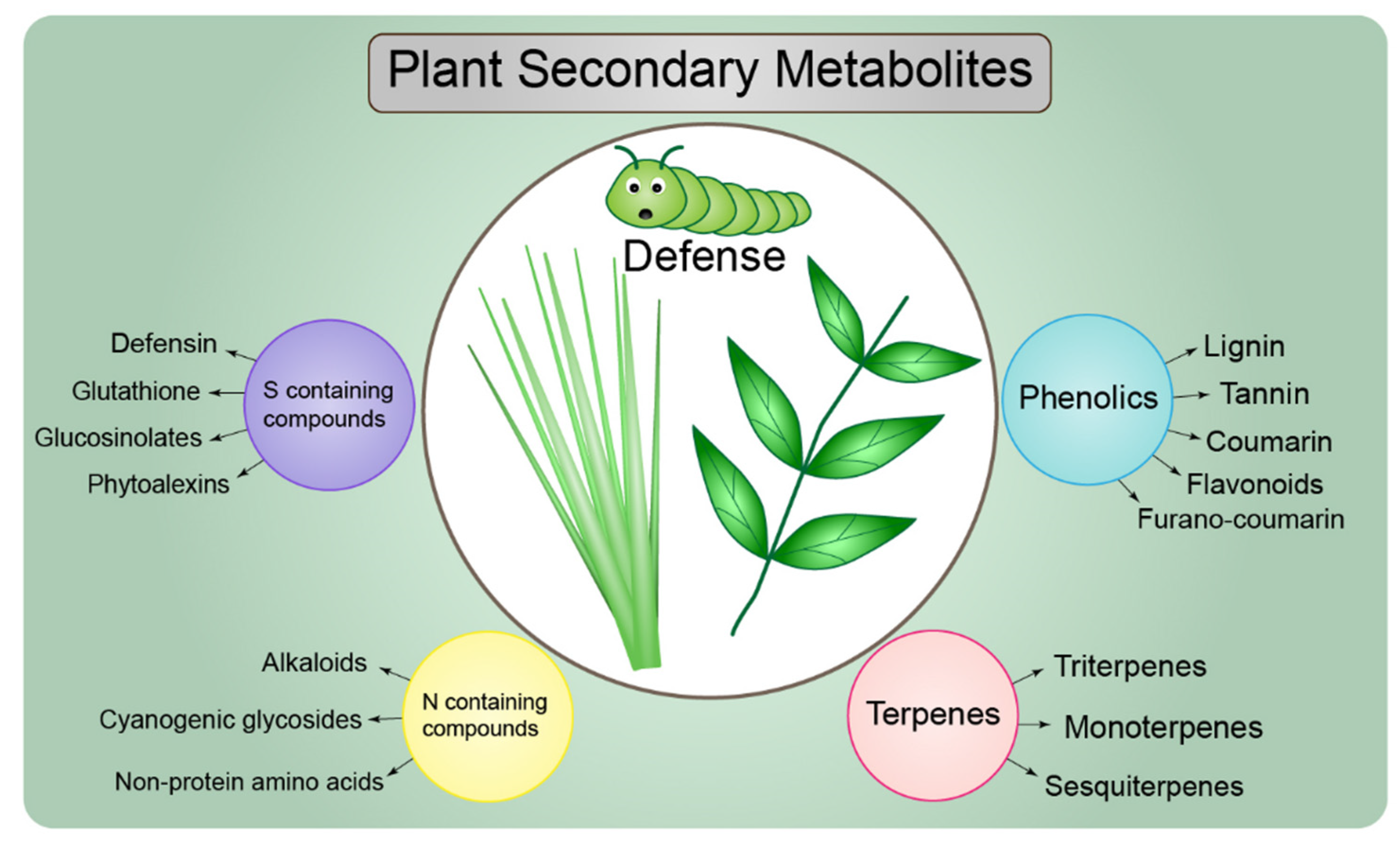 Ijms 23 07031 g004 550