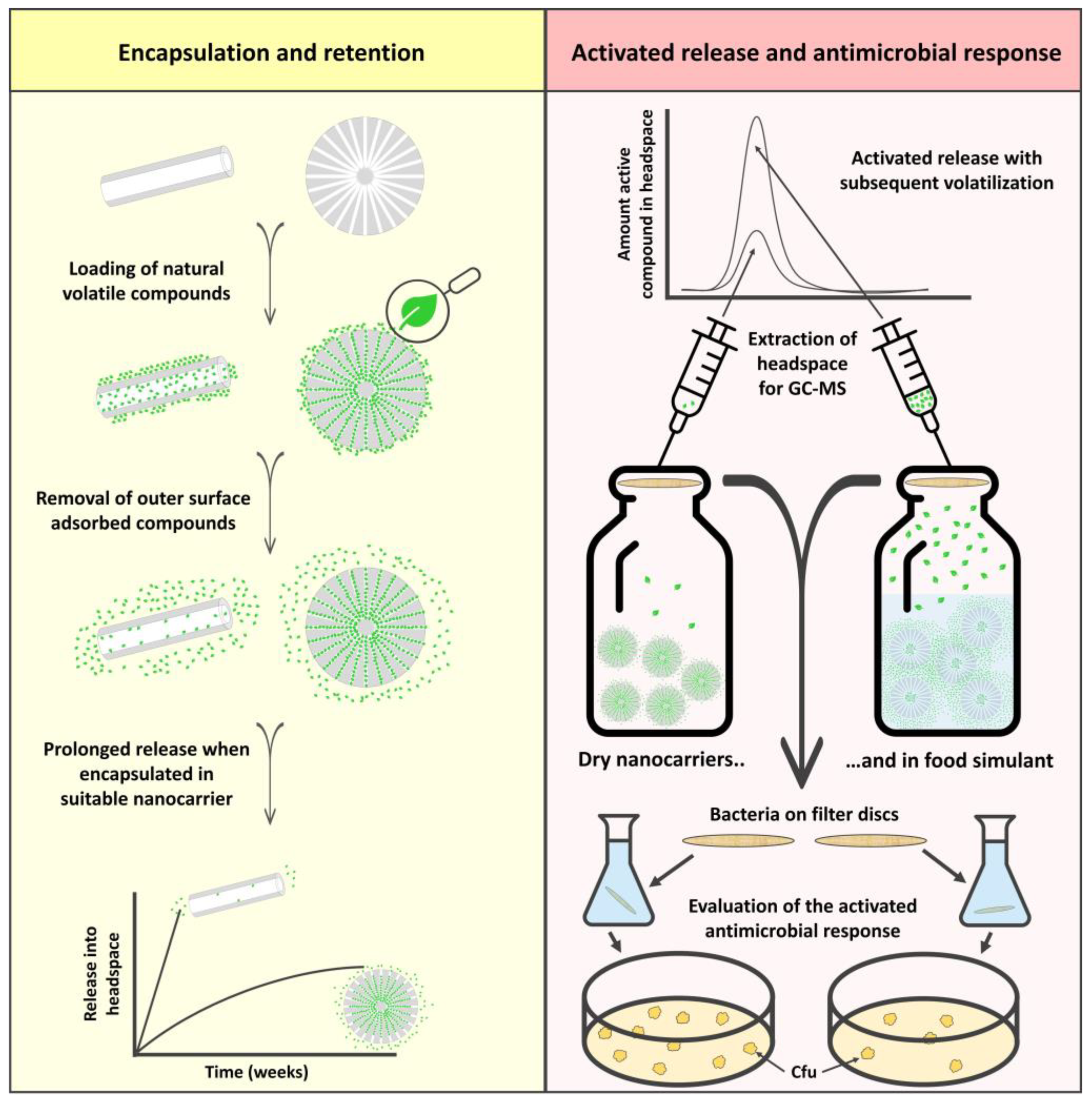 Ijms 23 07032 g001 550