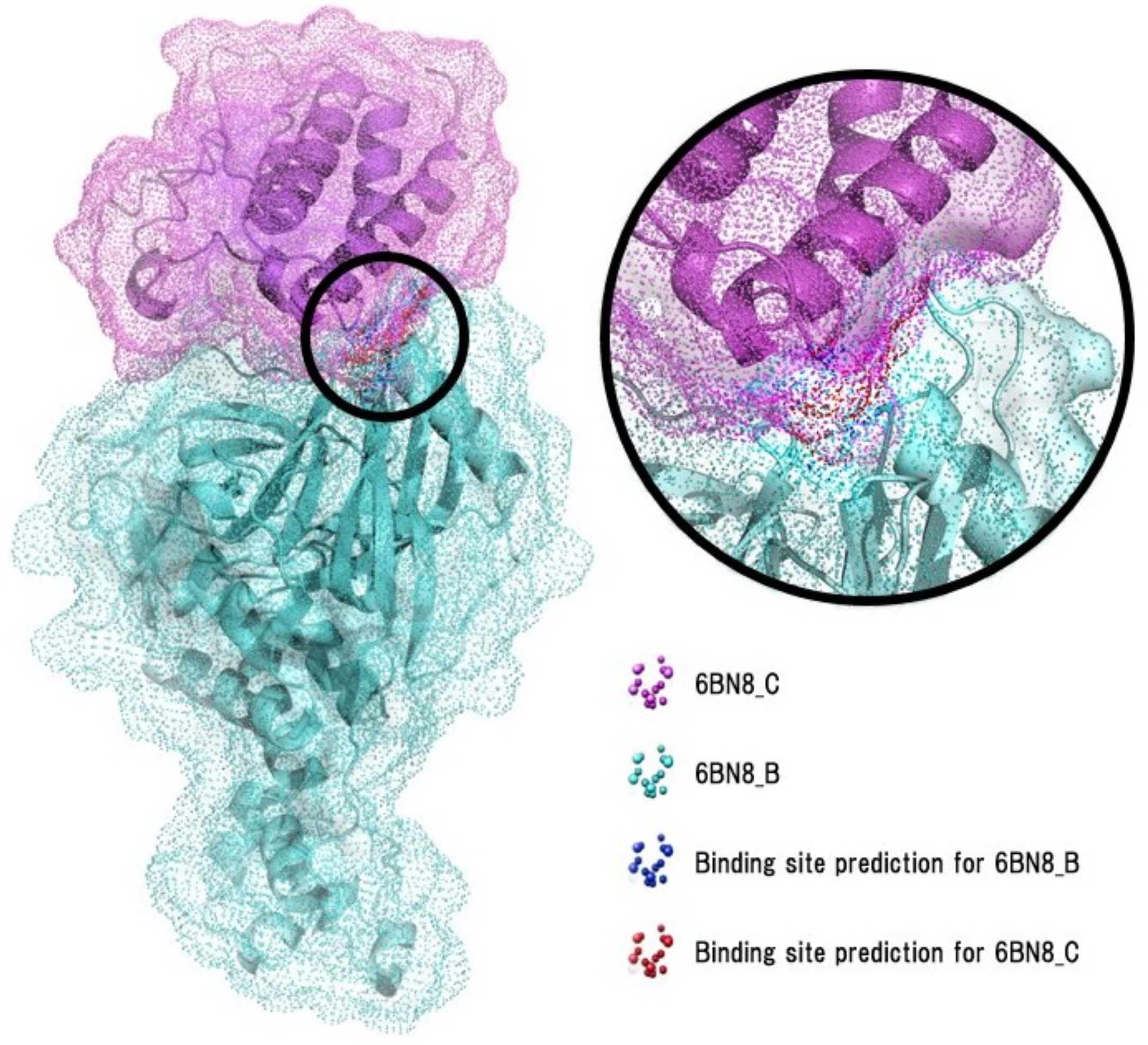 Ijms 23 07033 g005 550