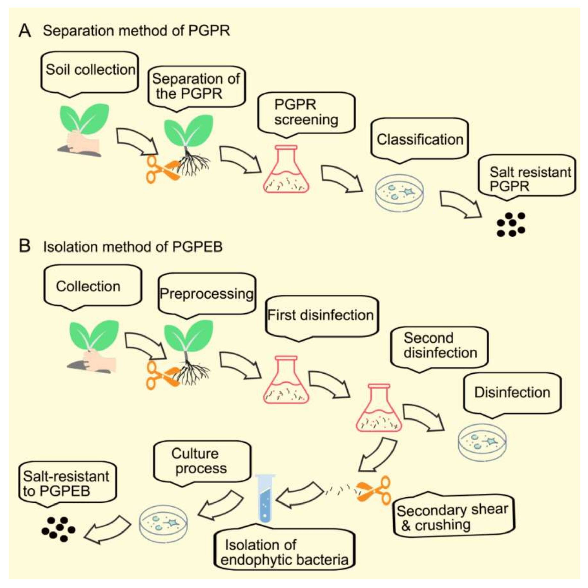 Ijms 23 07036 g001 Ijms 23 07036 g001