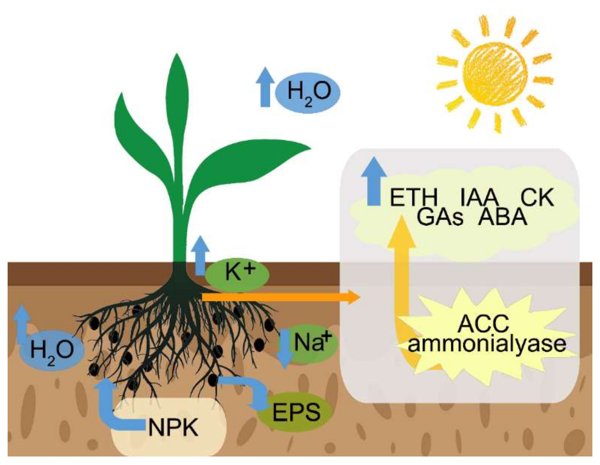 Ijms 23 07036 g002 Ijms 23 07036 g002