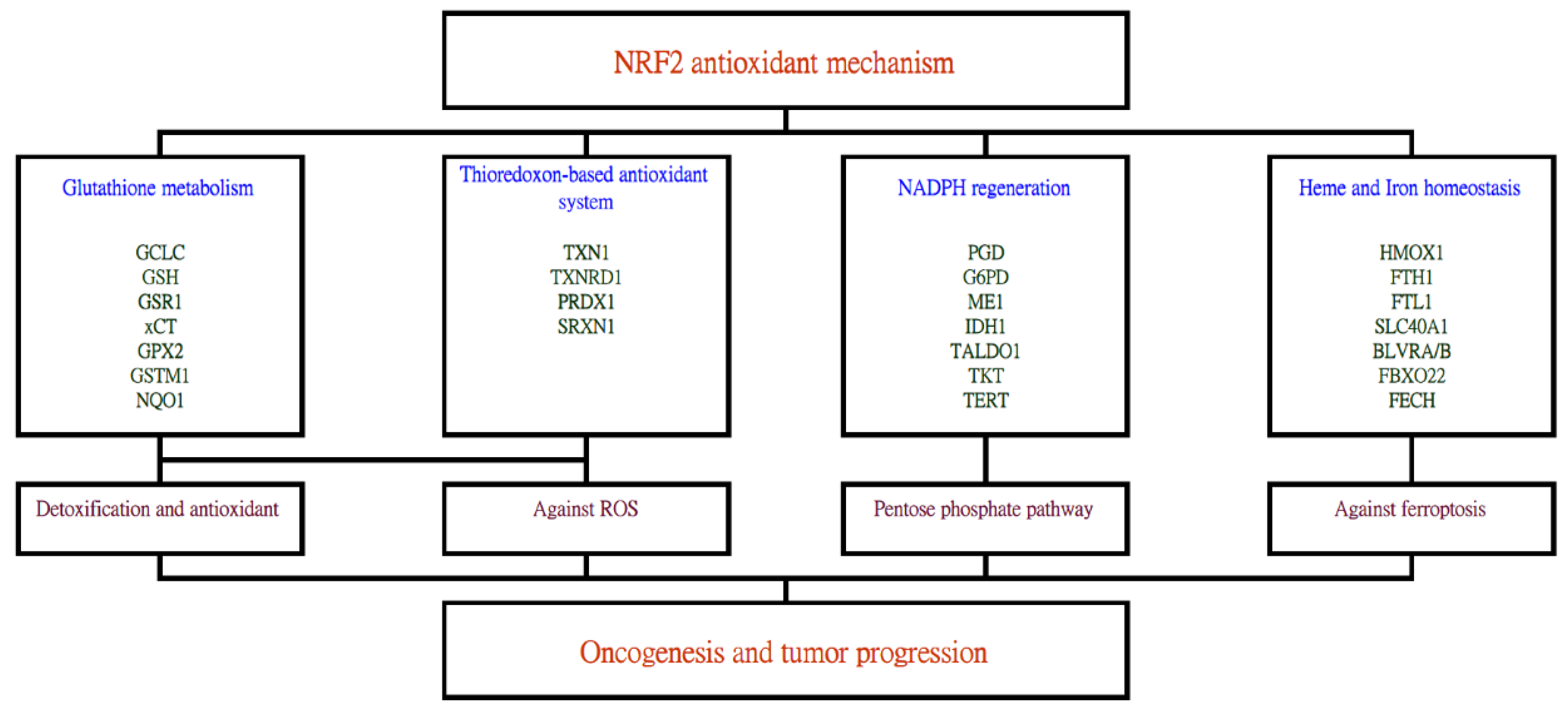 Ijms 23 07037 g001 550