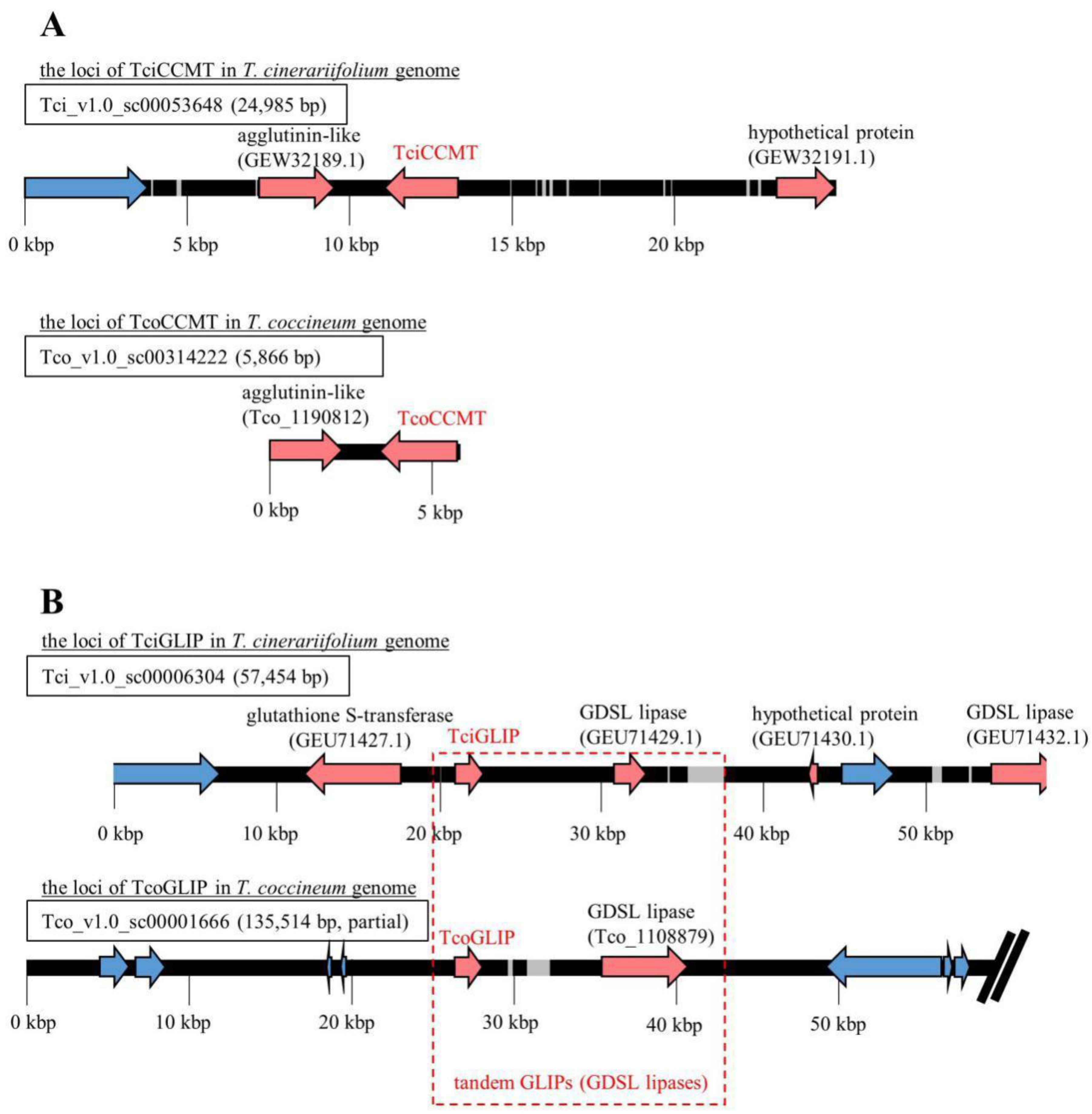 Ijms 23 07039 g004 550