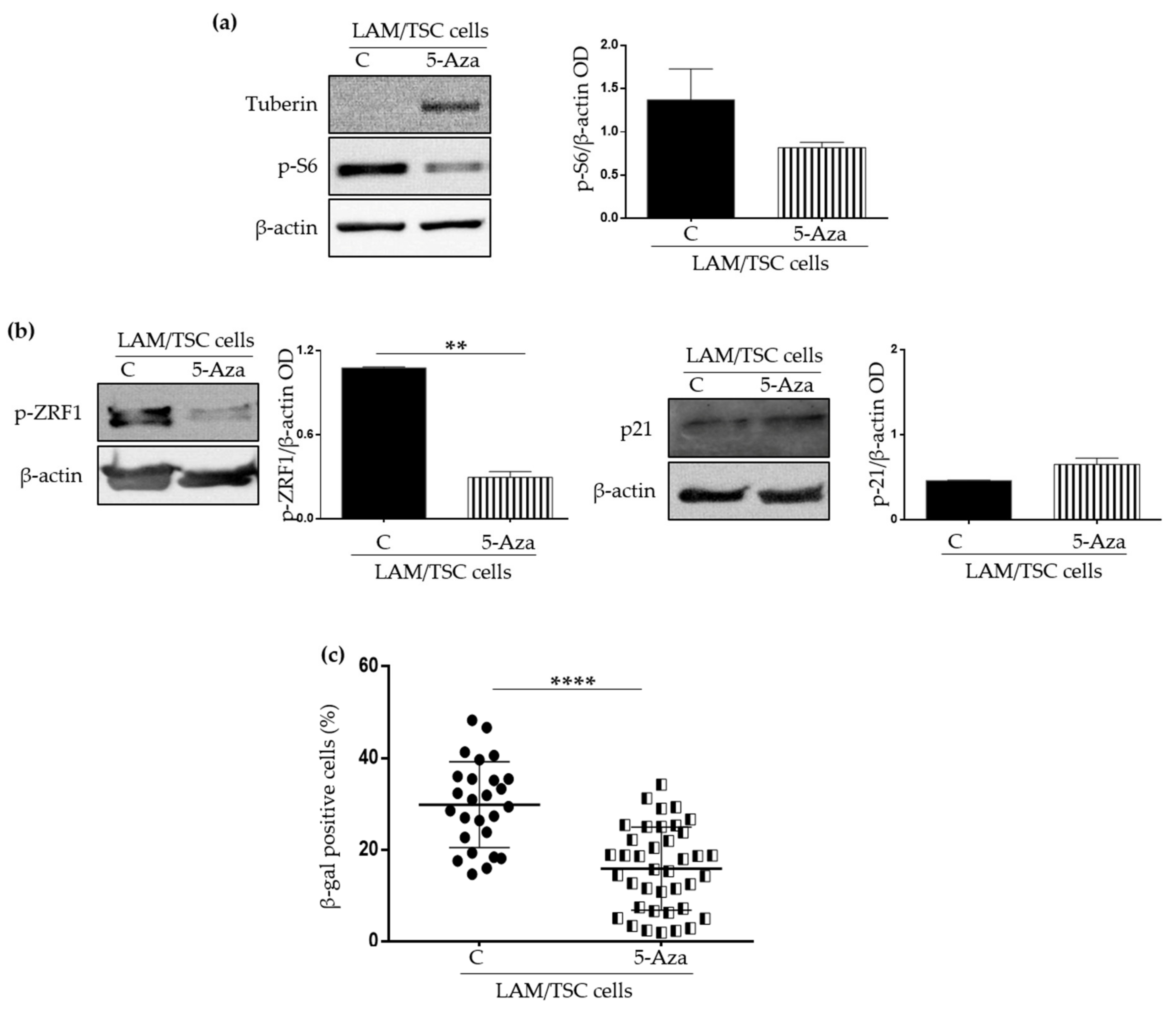 Ijms 23 07040 g002 550