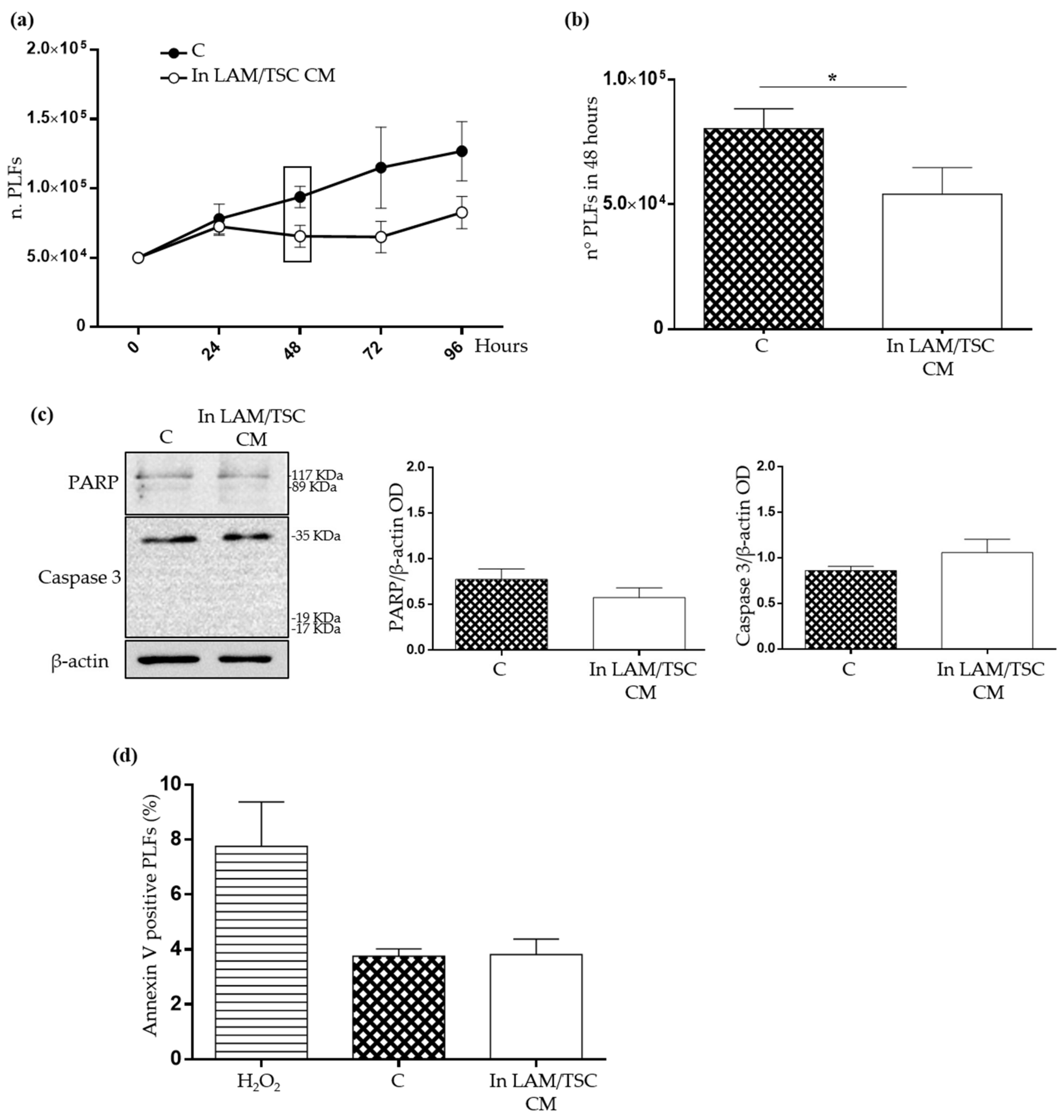 Ijms 23 07040 g004 550