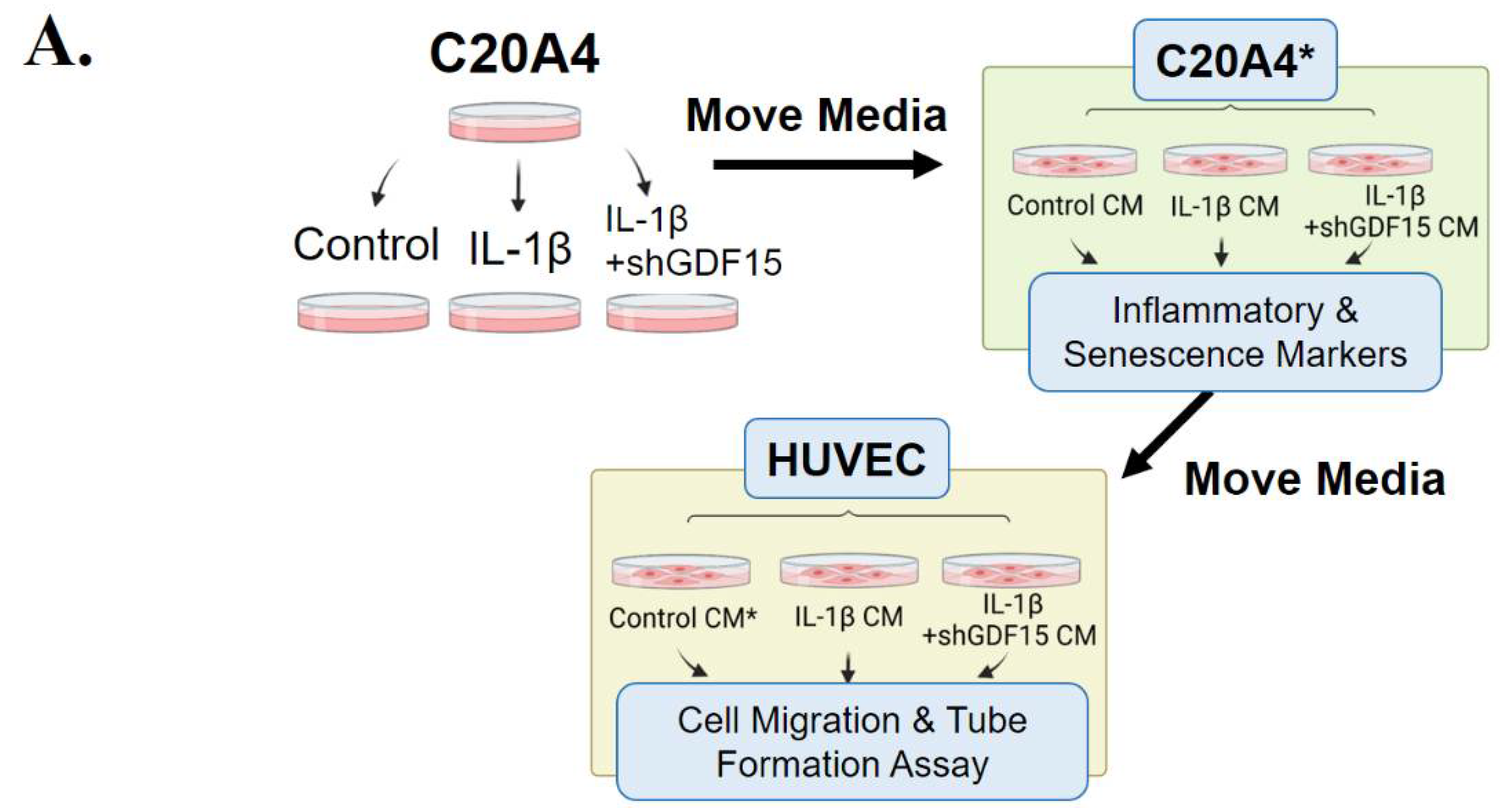 Ijms 23 07043 g003a 550
