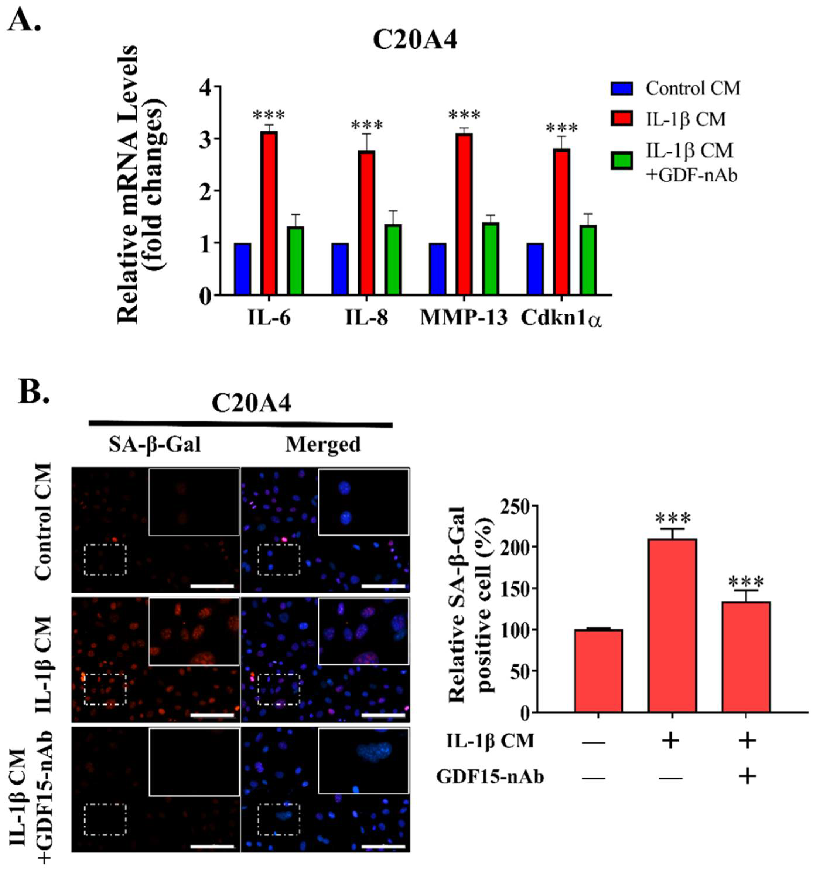 Ijms 23 07043 g005a 550