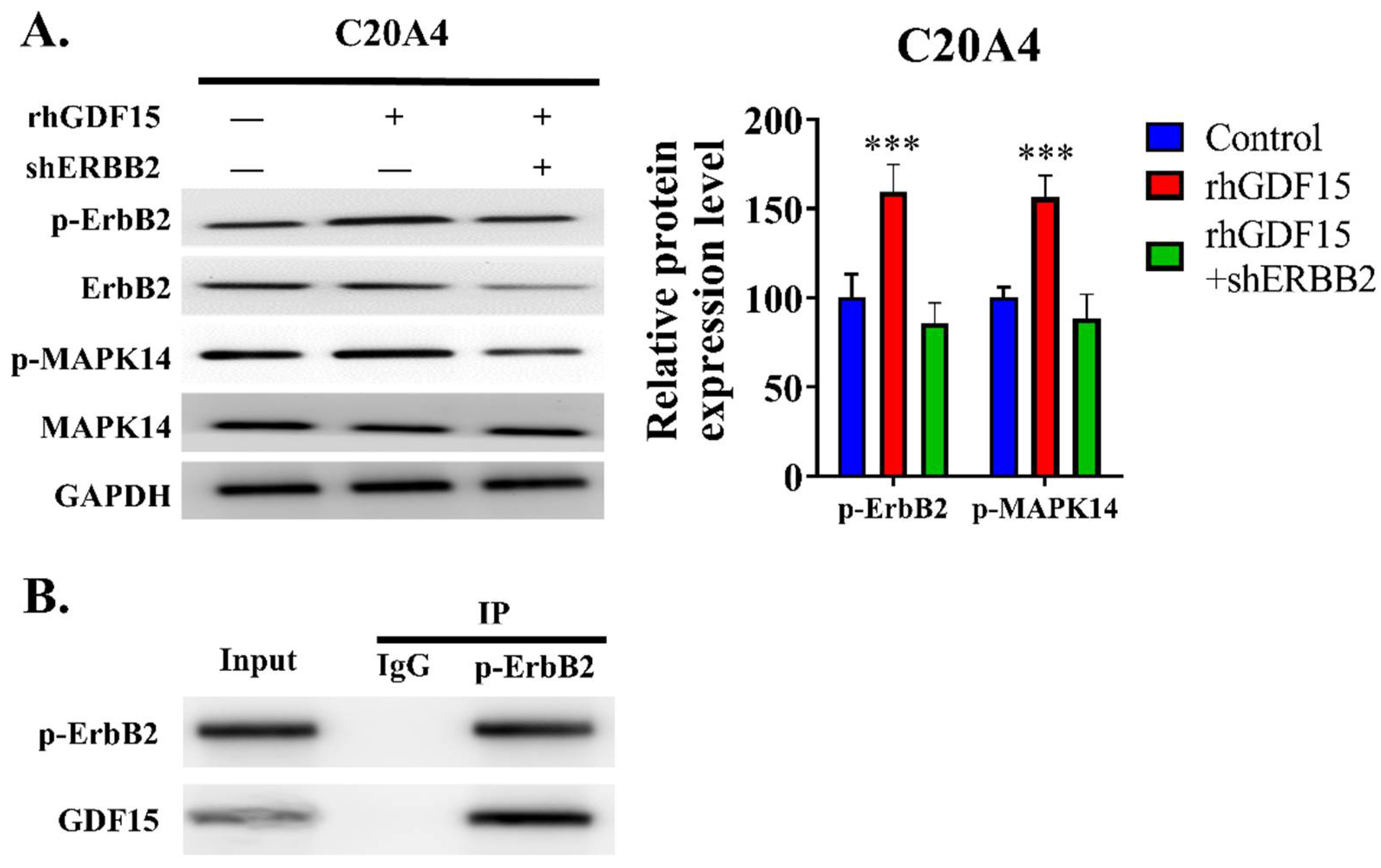 Ijms 23 07043 g006 550