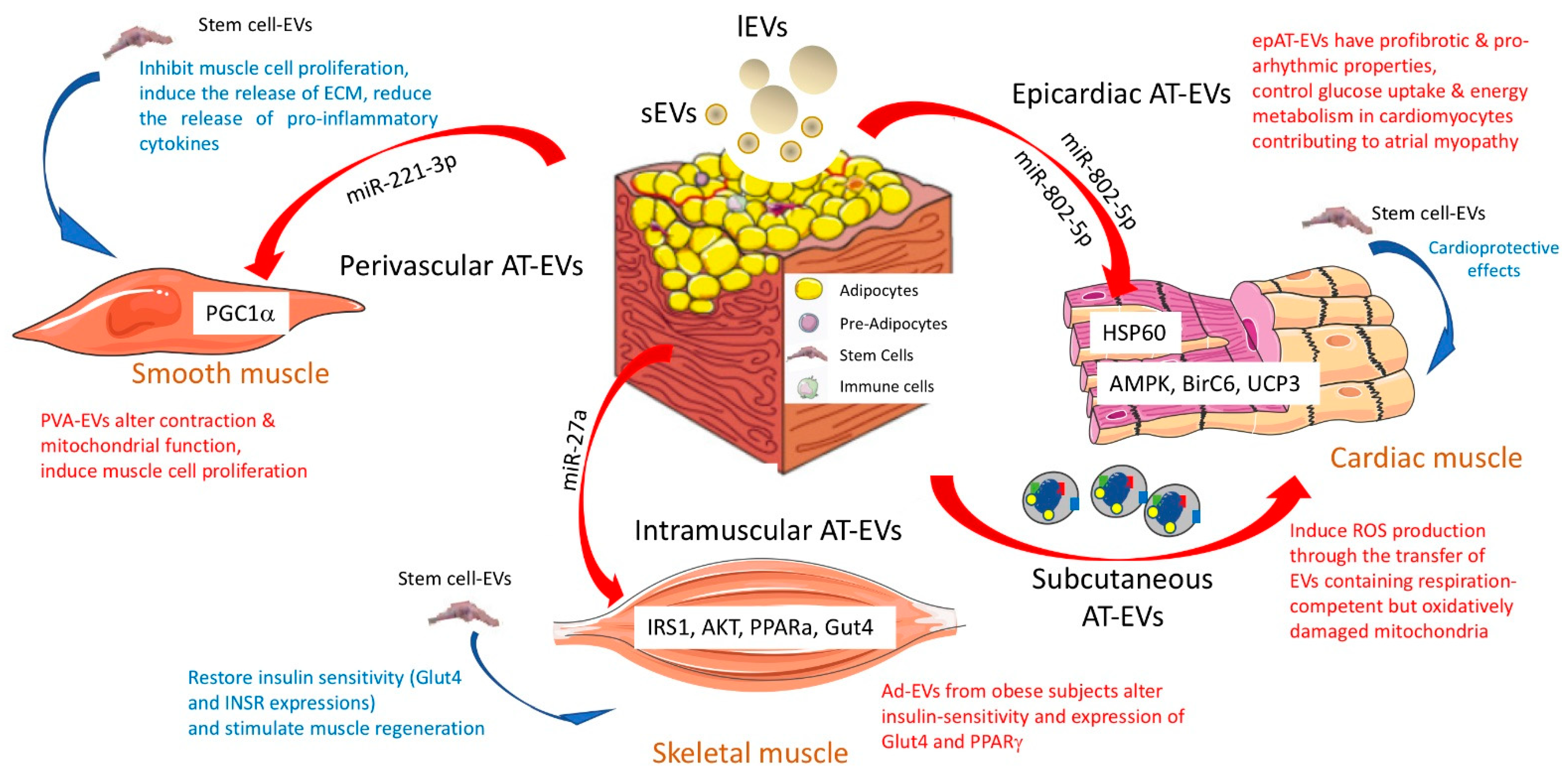 Ijms 23 07052 g002 550