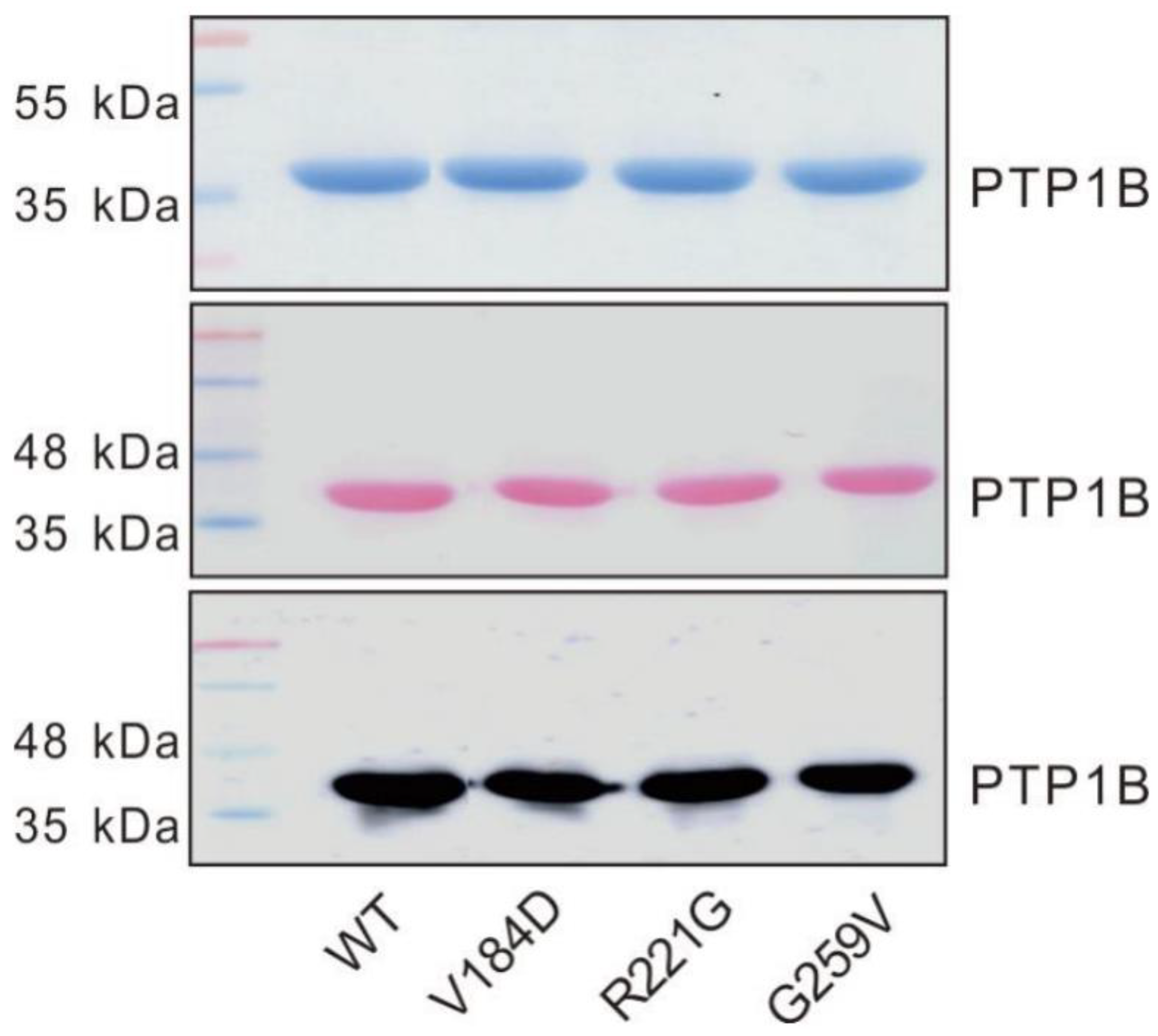 Ijms 23 07060 g001 550