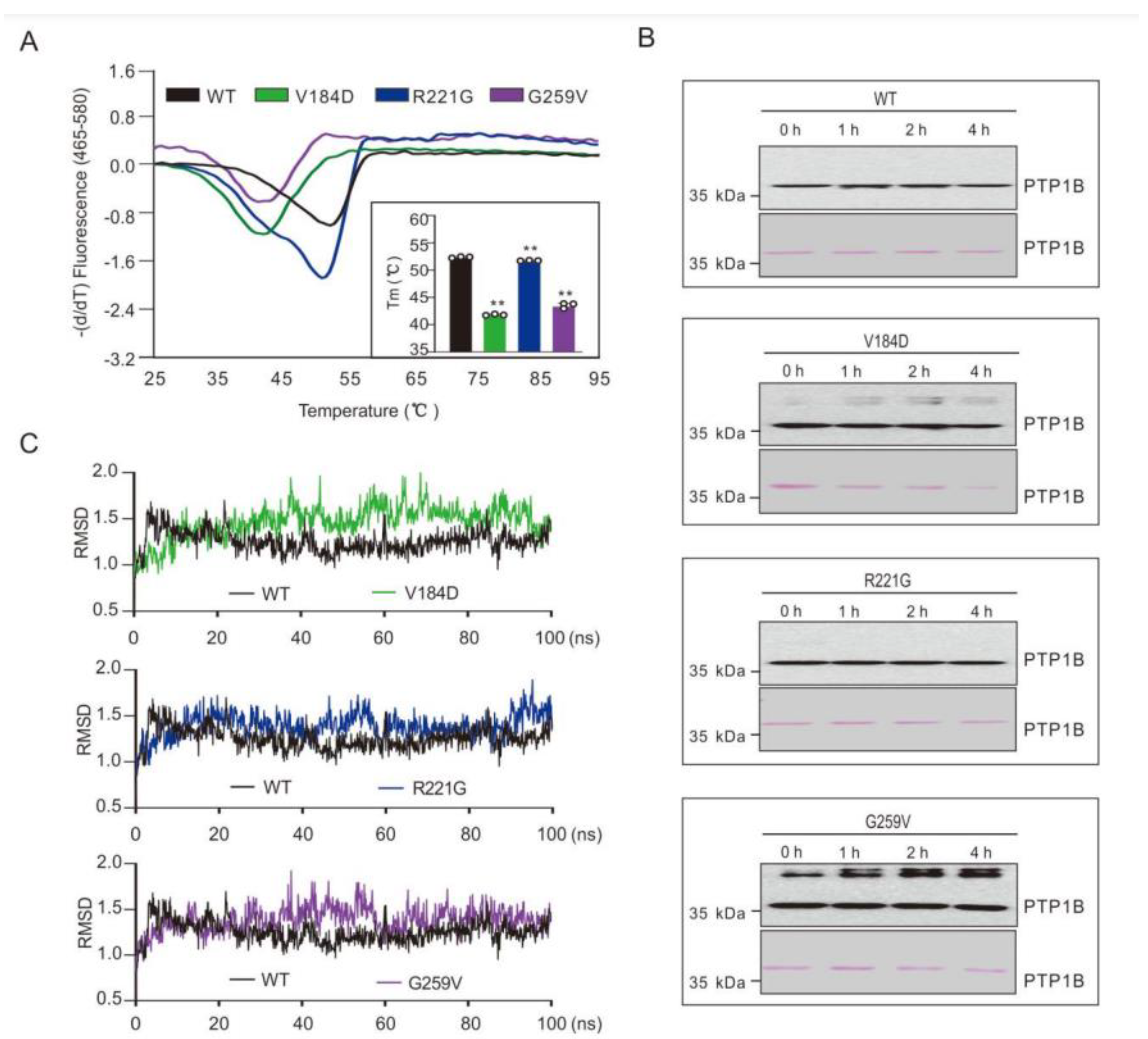 Ijms 23 07060 g003 550
