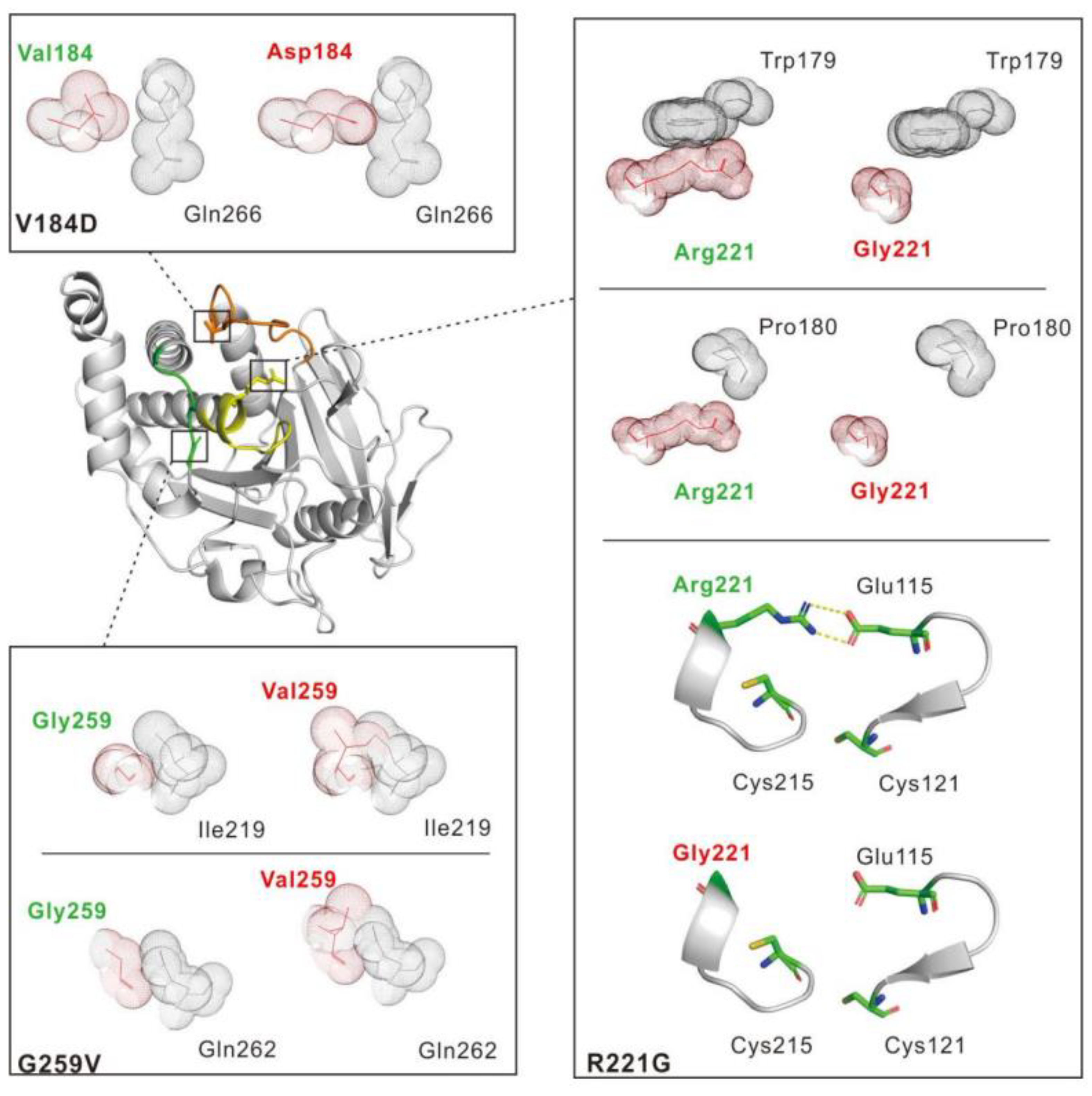 Ijms 23 07060 g004 550