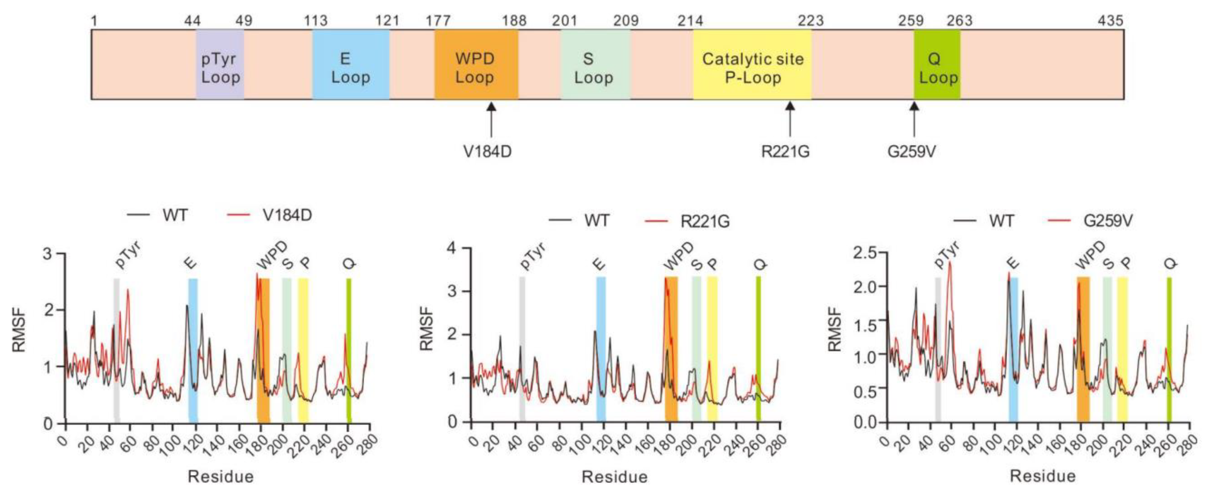 Ijms 23 07060 g005 550