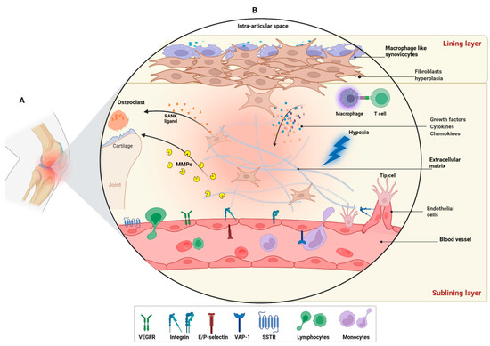 Systematic Review: Targeted Molecular Imaging of