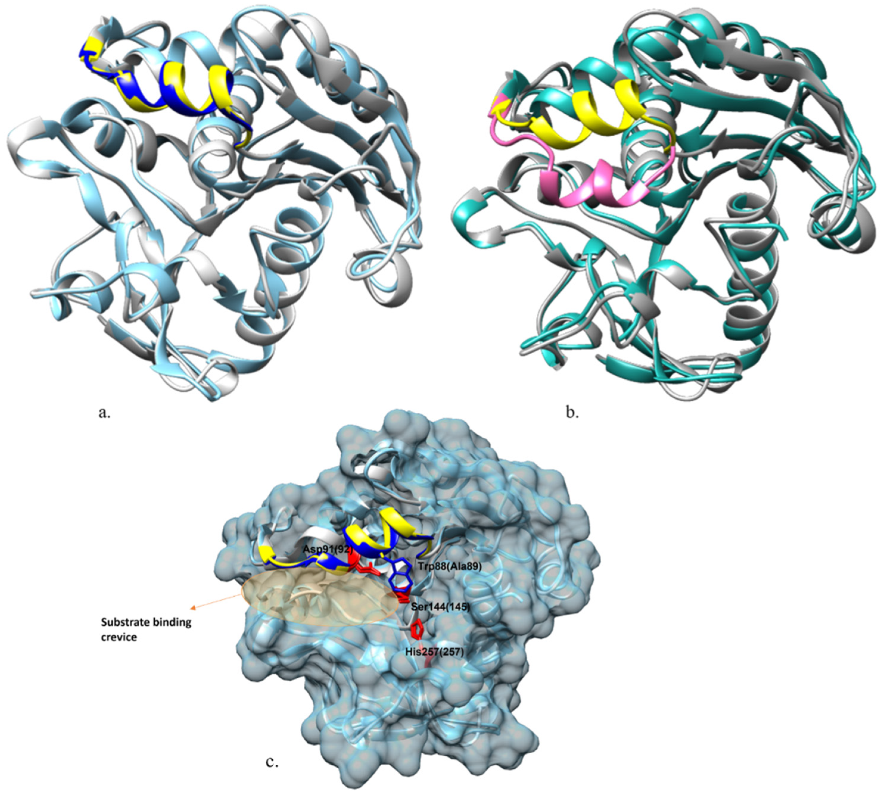 Ijms 23 07072 g004 550