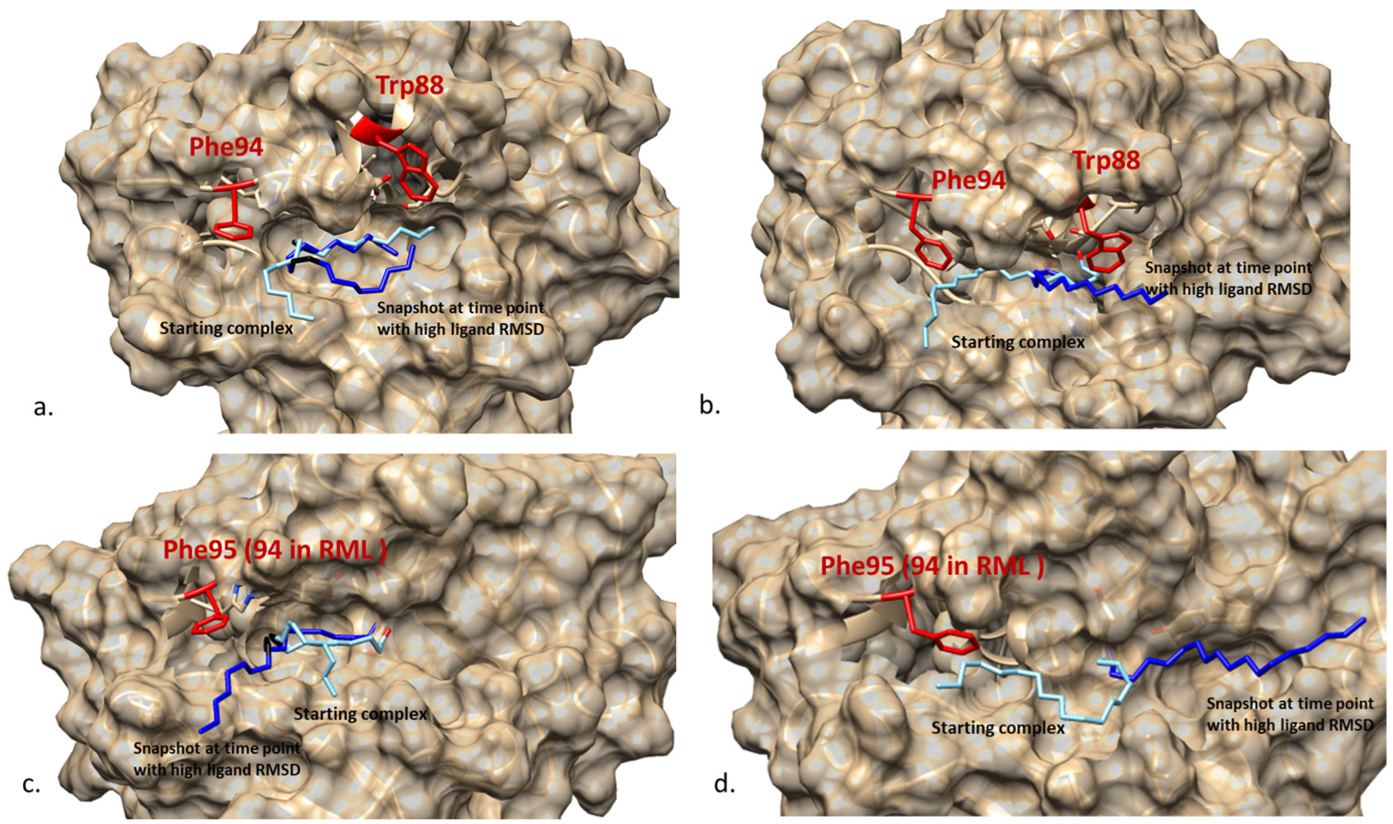 Ijms 23 07072 g007 550