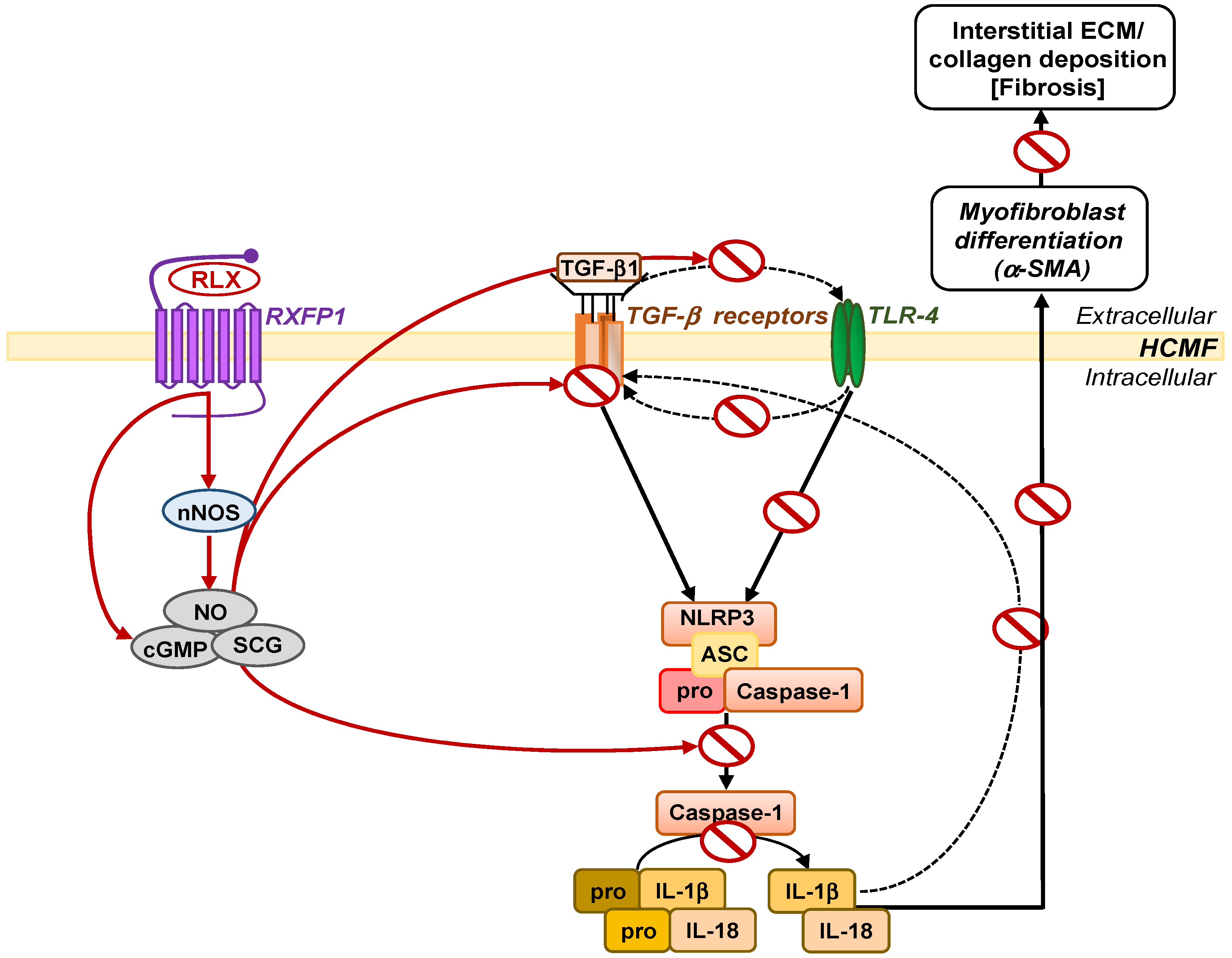 Ijms 23 07074 g001 Ijms 23 07074 g001