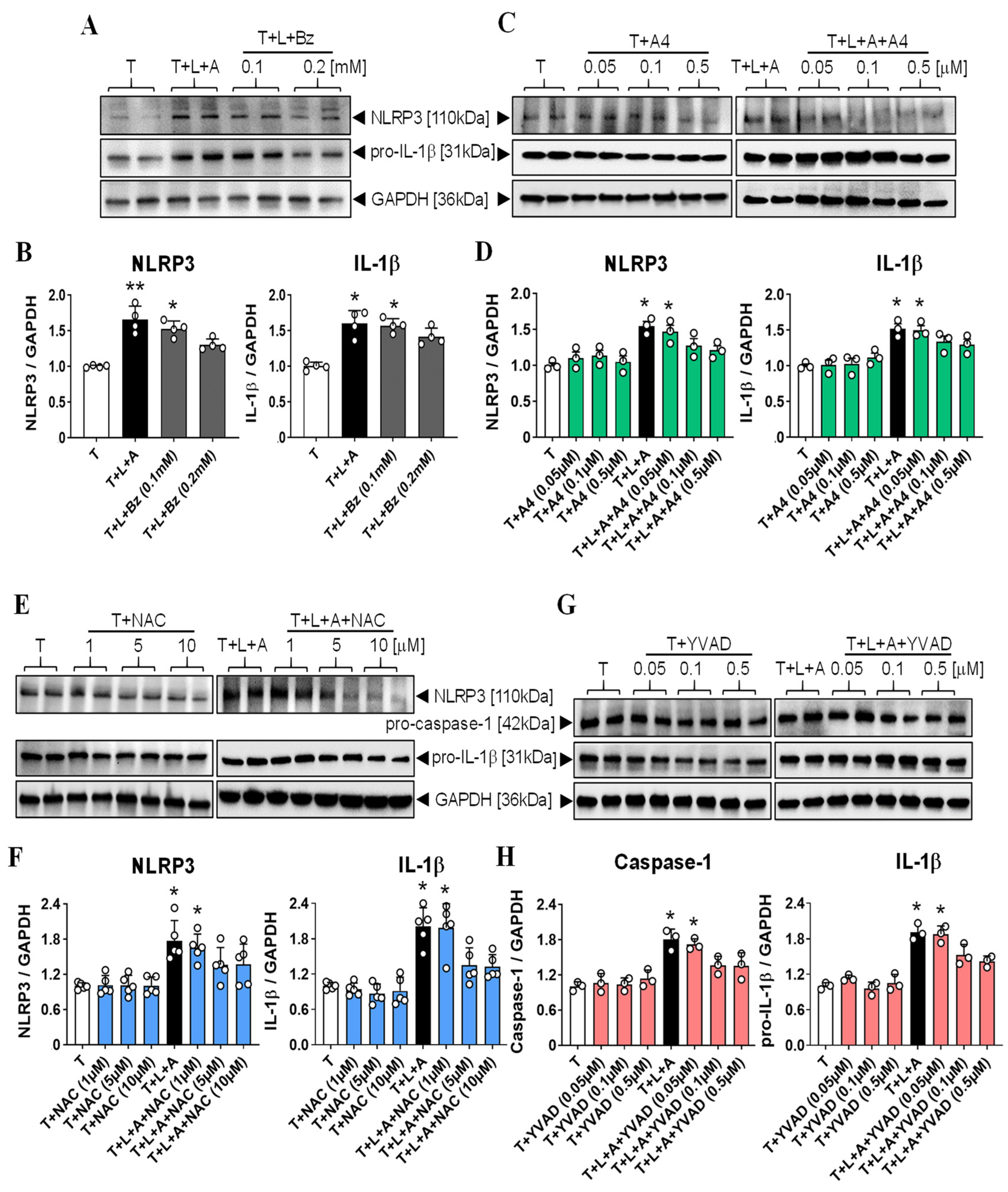 Ijms 23 07074 g002 Ijms 23 07074 g002