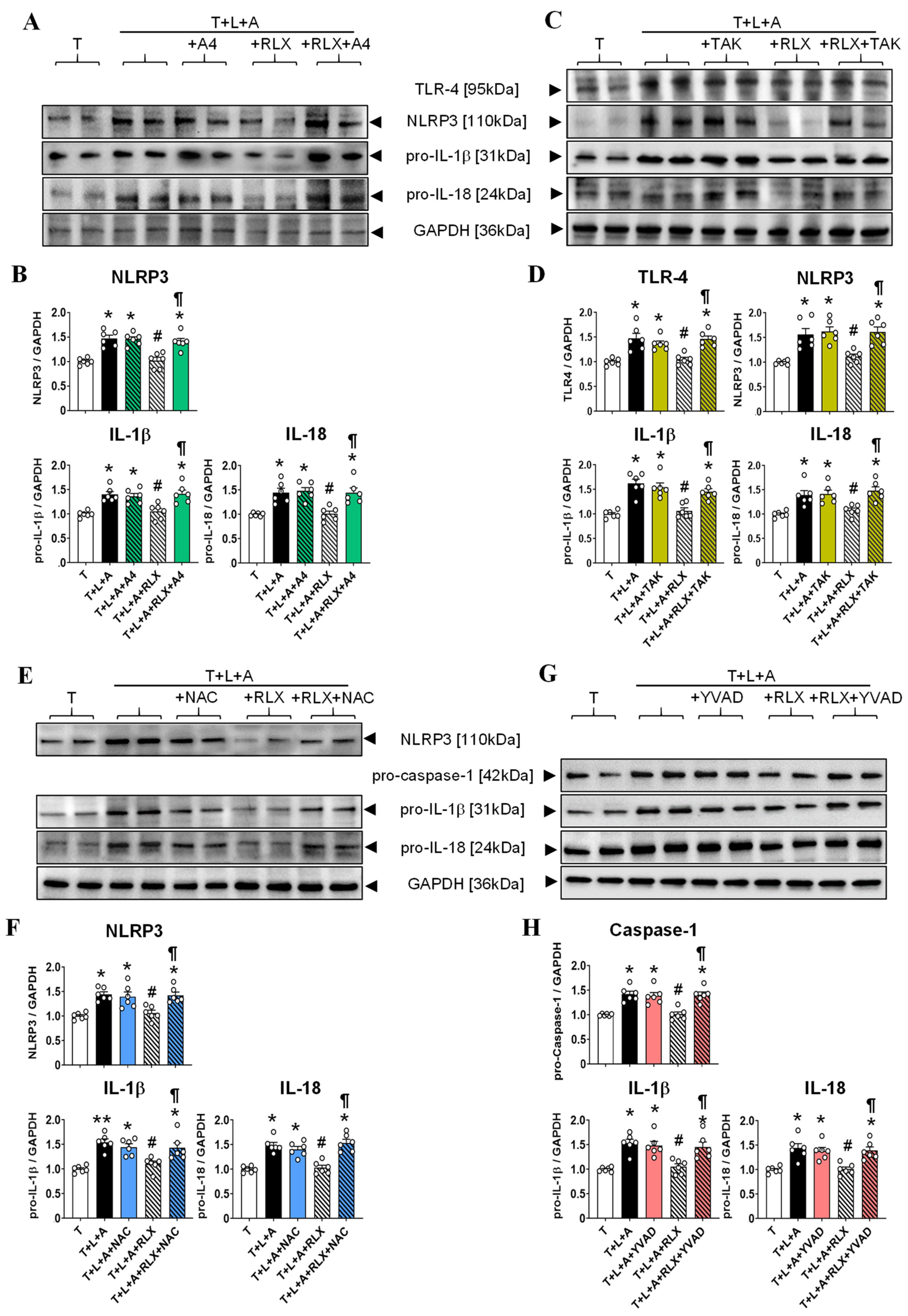 Ijms 23 07074 g004 Ijms 23 07074 g004