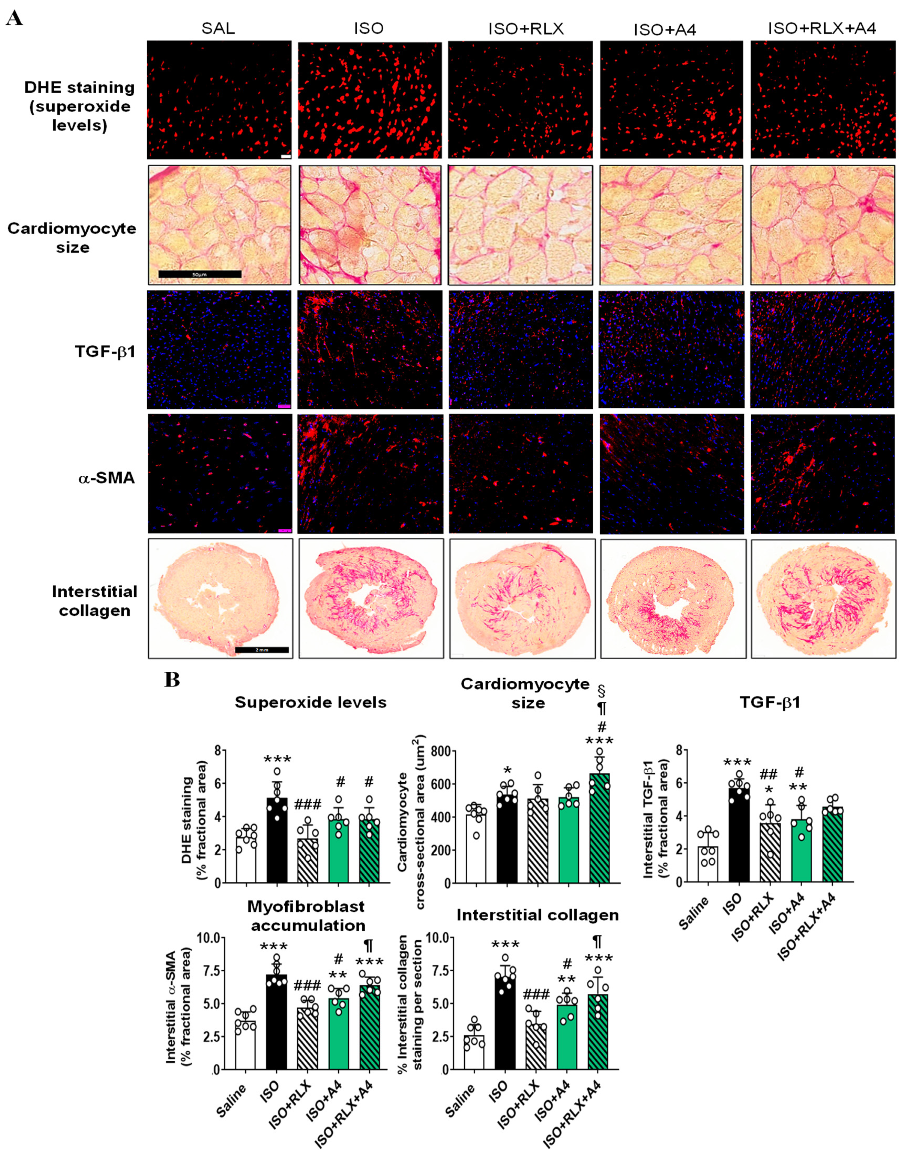 Ijms 23 07074 g006 Ijms 23 07074 g006